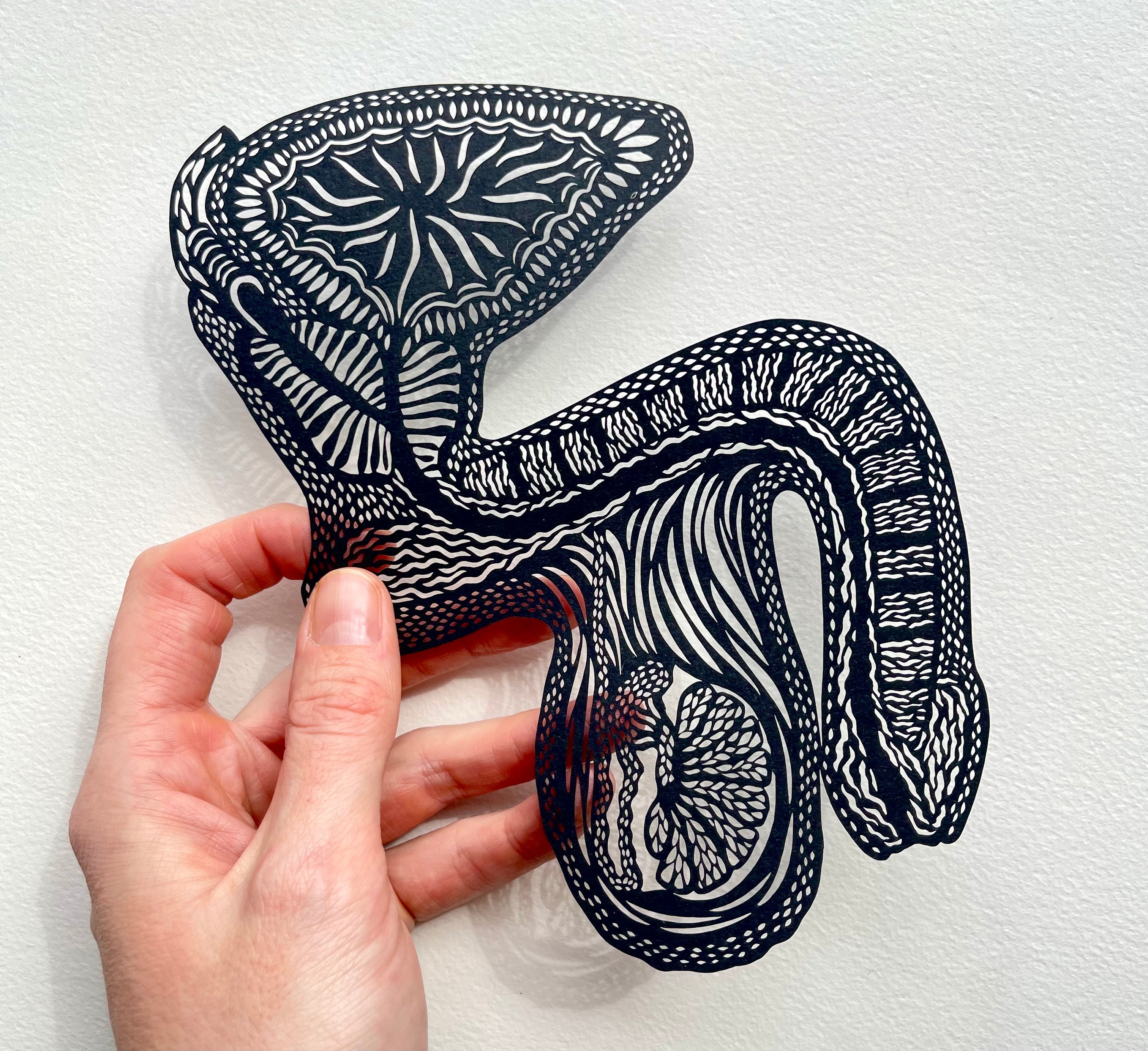 Anatomical Penis/Testicle Papercutting Artwork