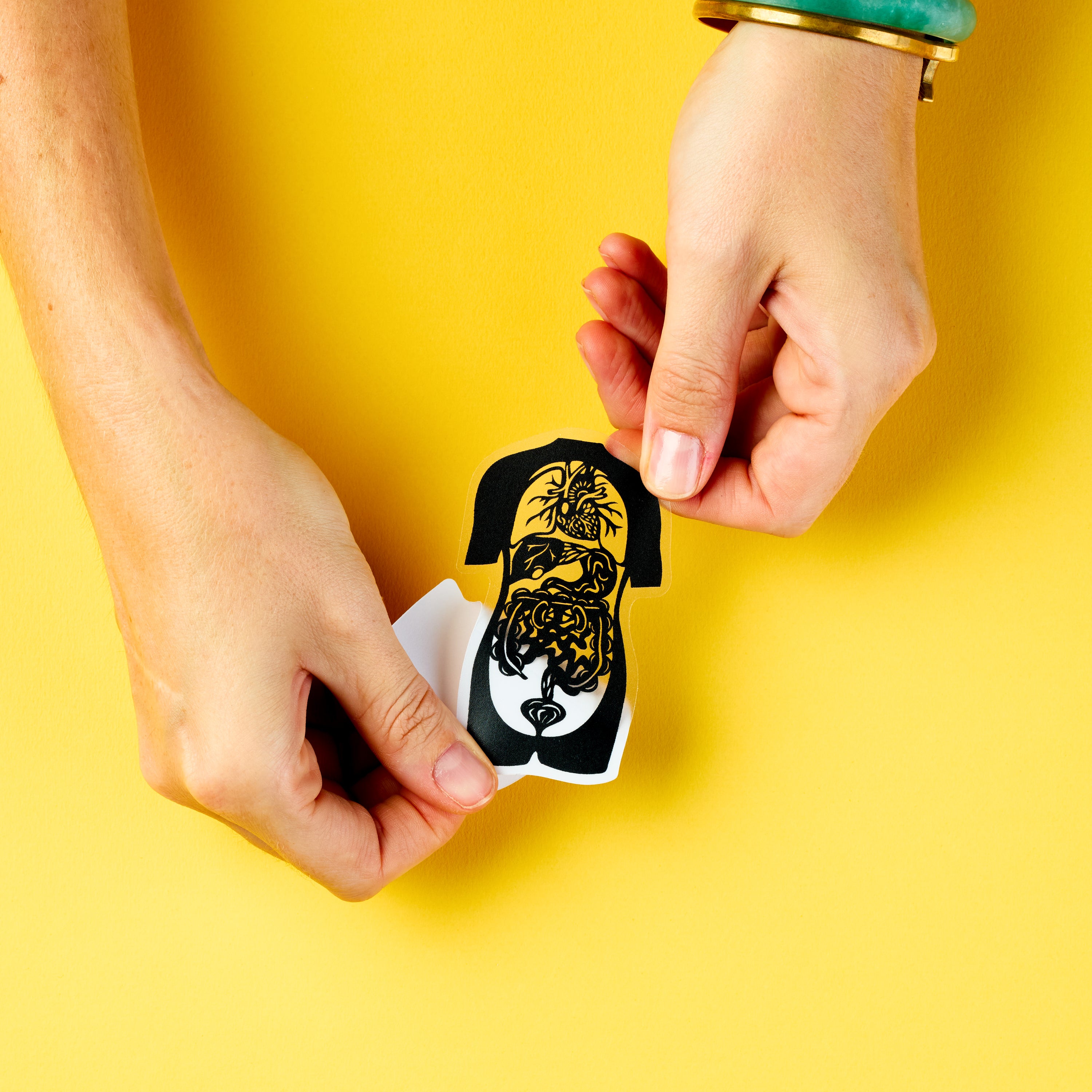 Human Anatomy sticker