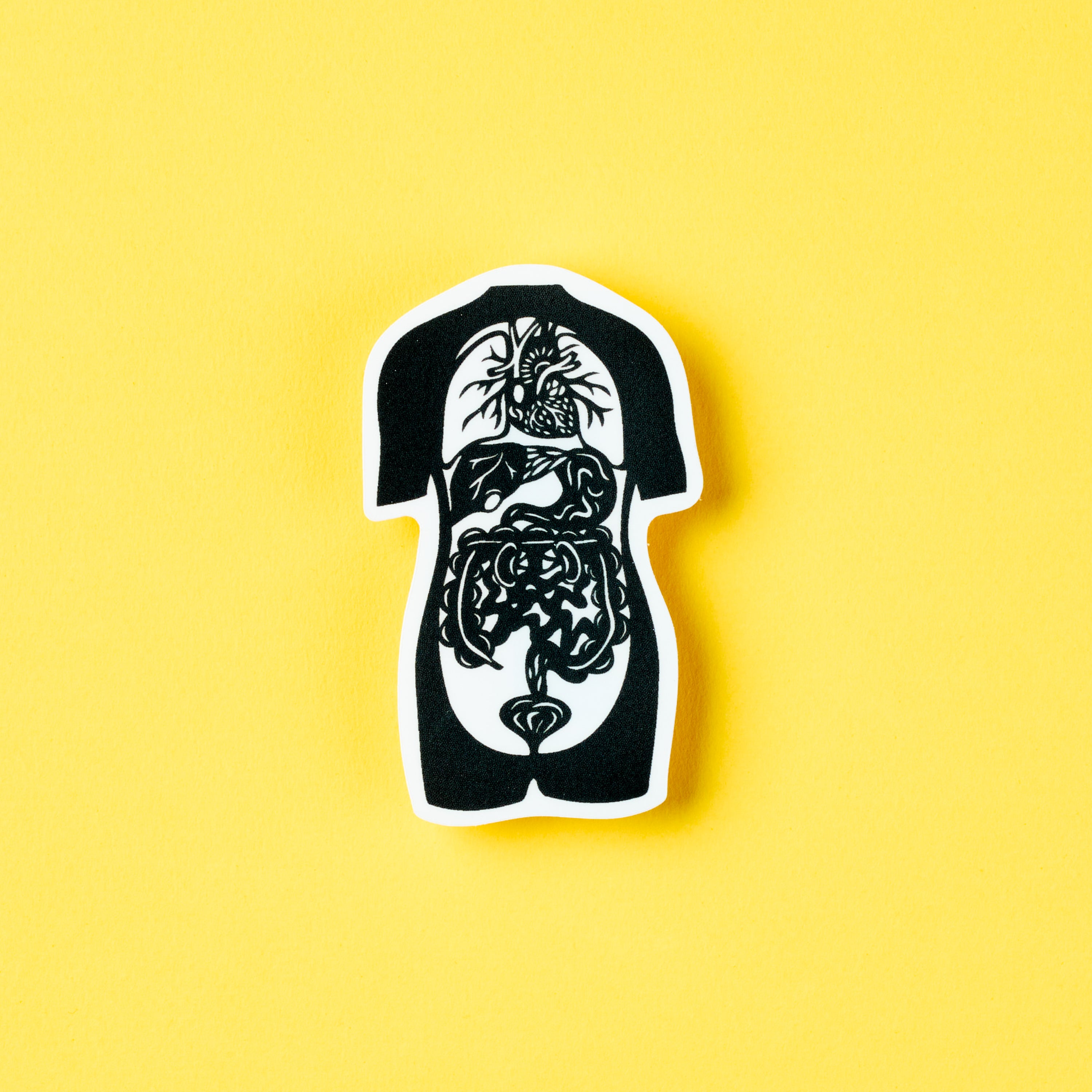 Human Anatomy sticker