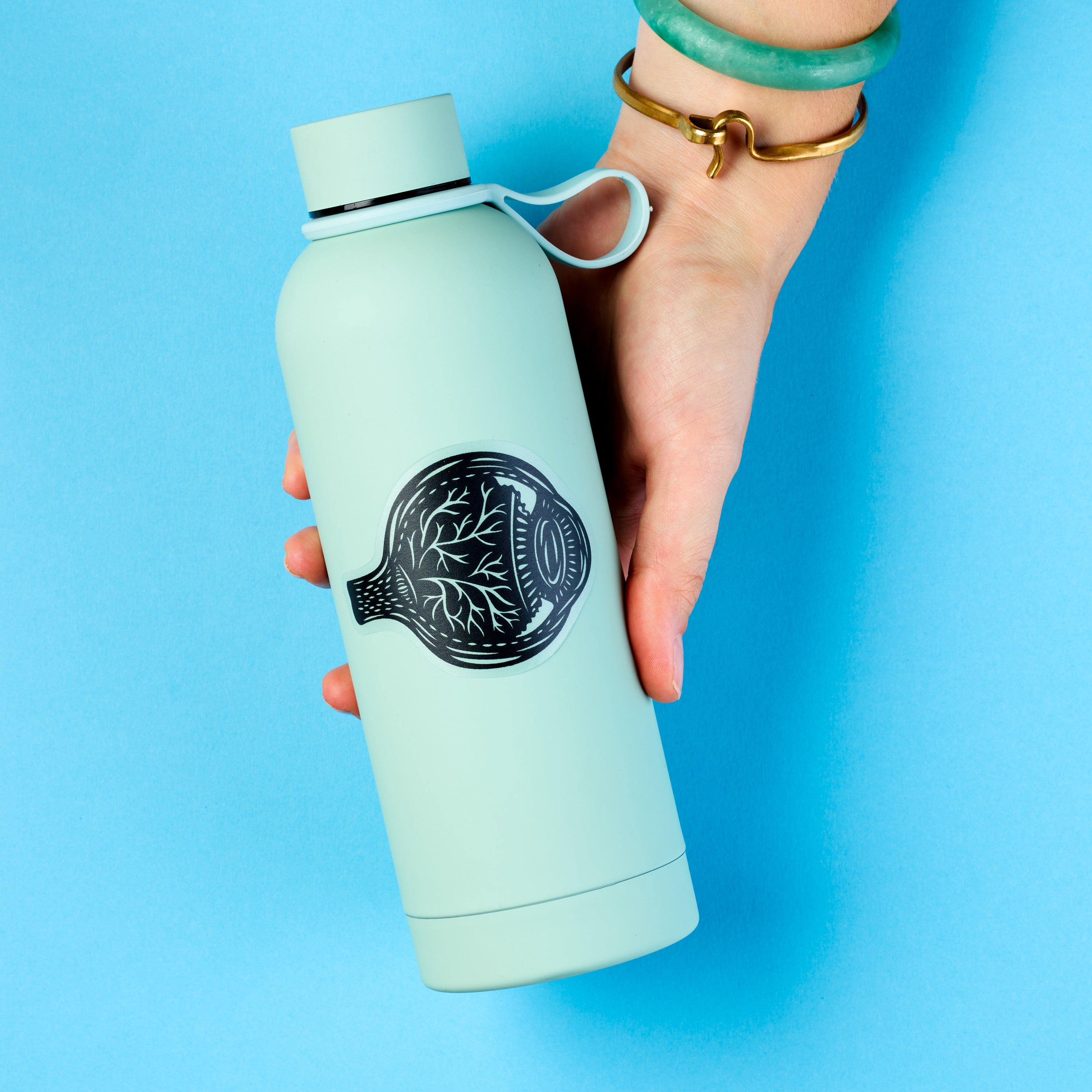 Eyeball Anatomy sticker