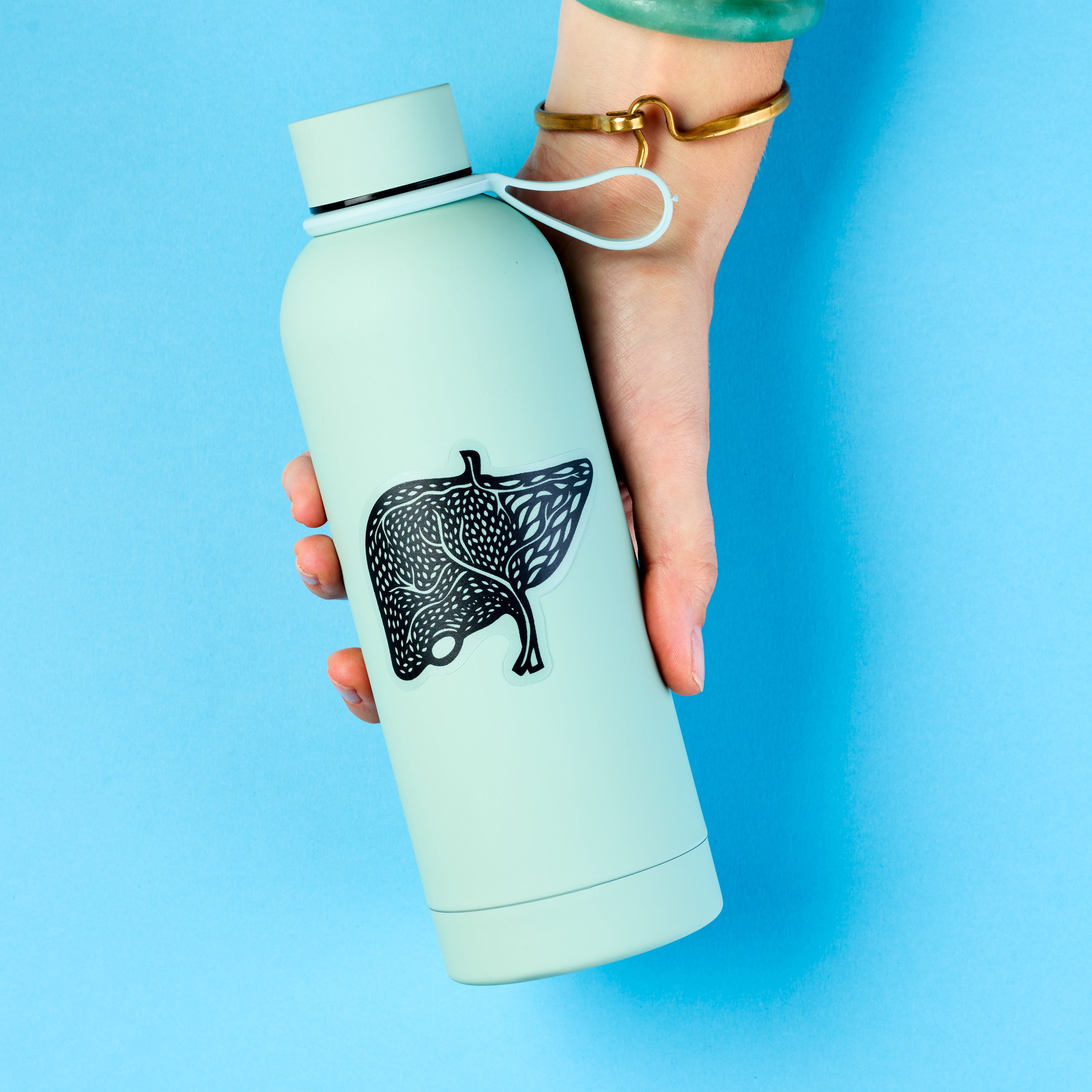 Liver Anatomy Vinyl Sticker