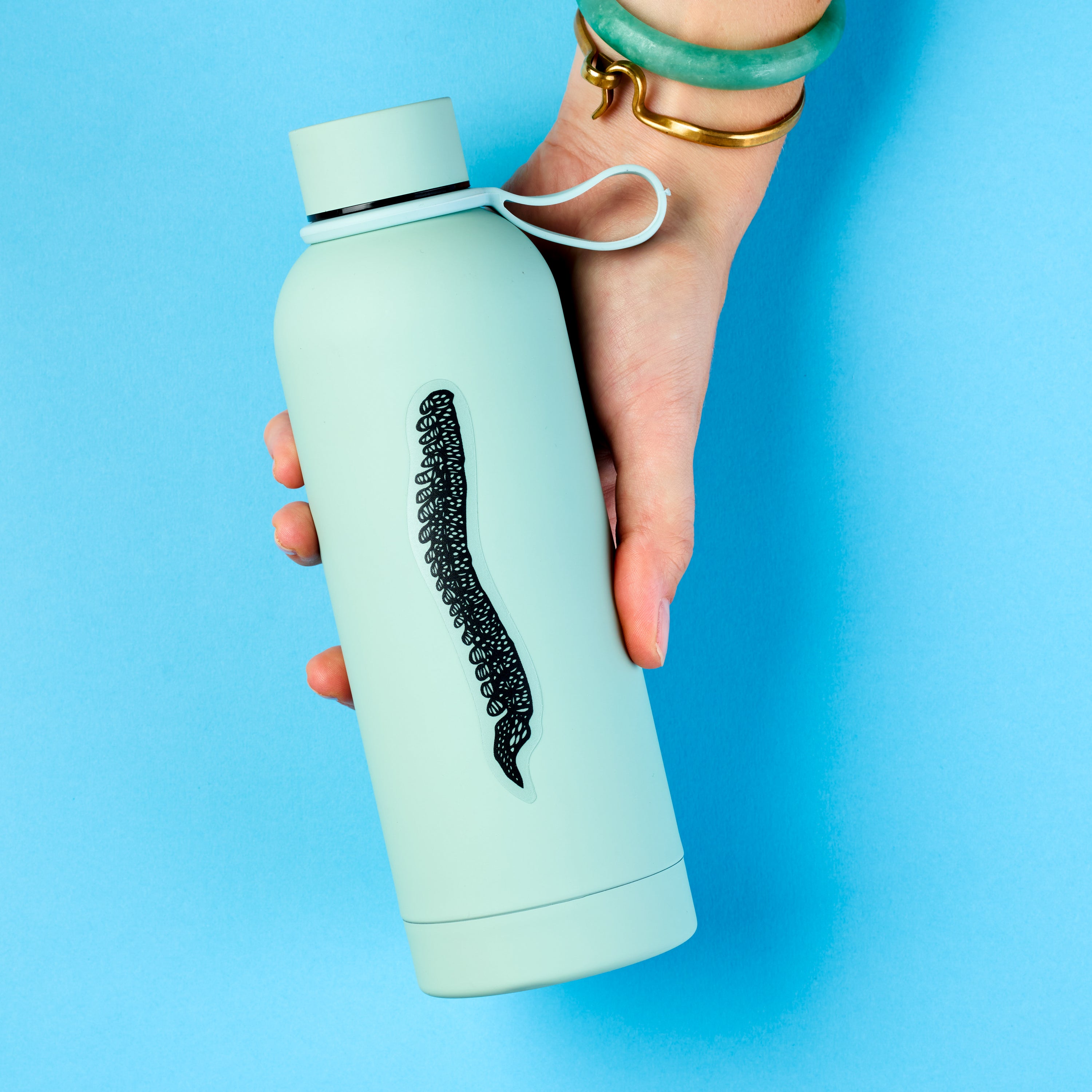 Spine Anatomy Vinyl Sticker