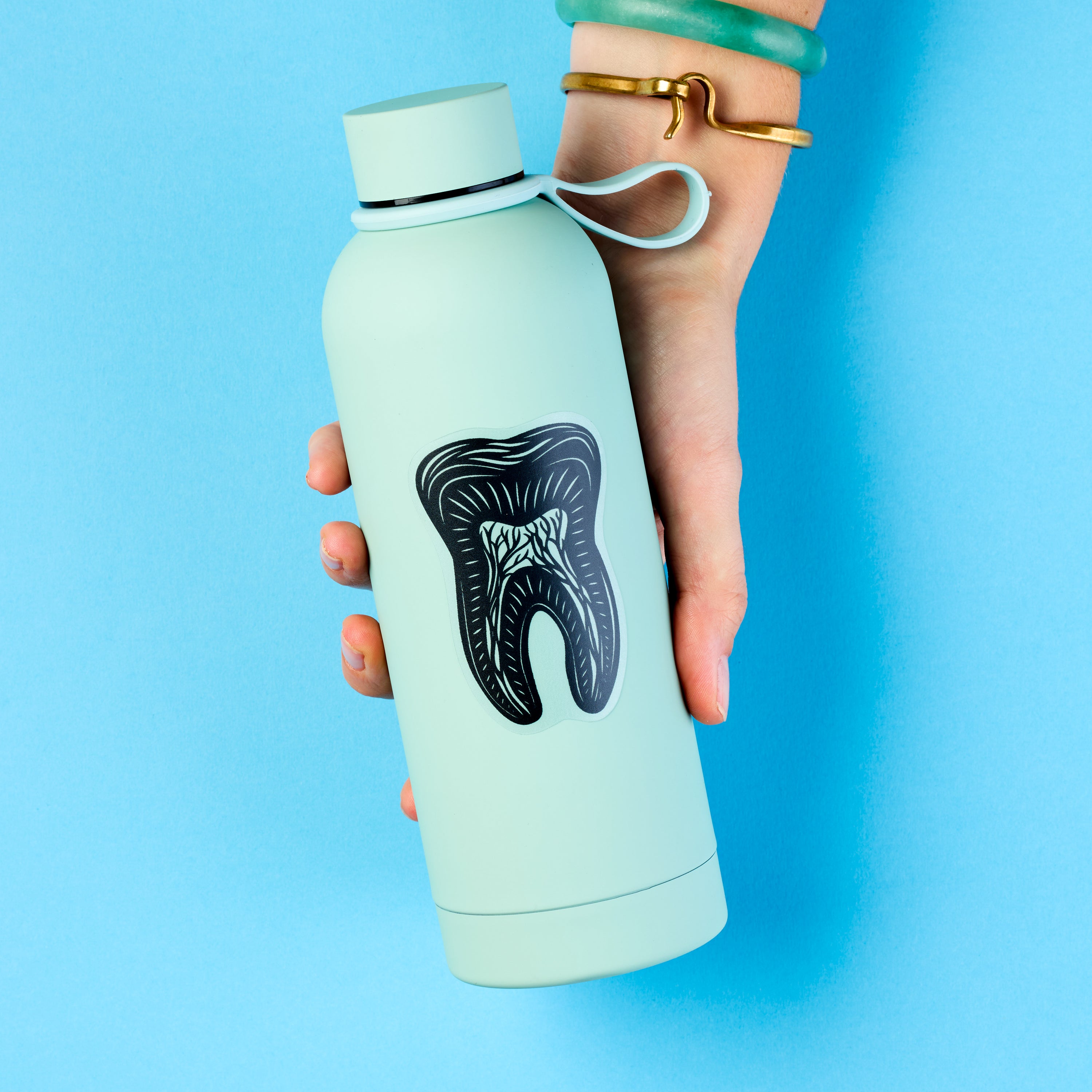 Tooth Anatomy sticker