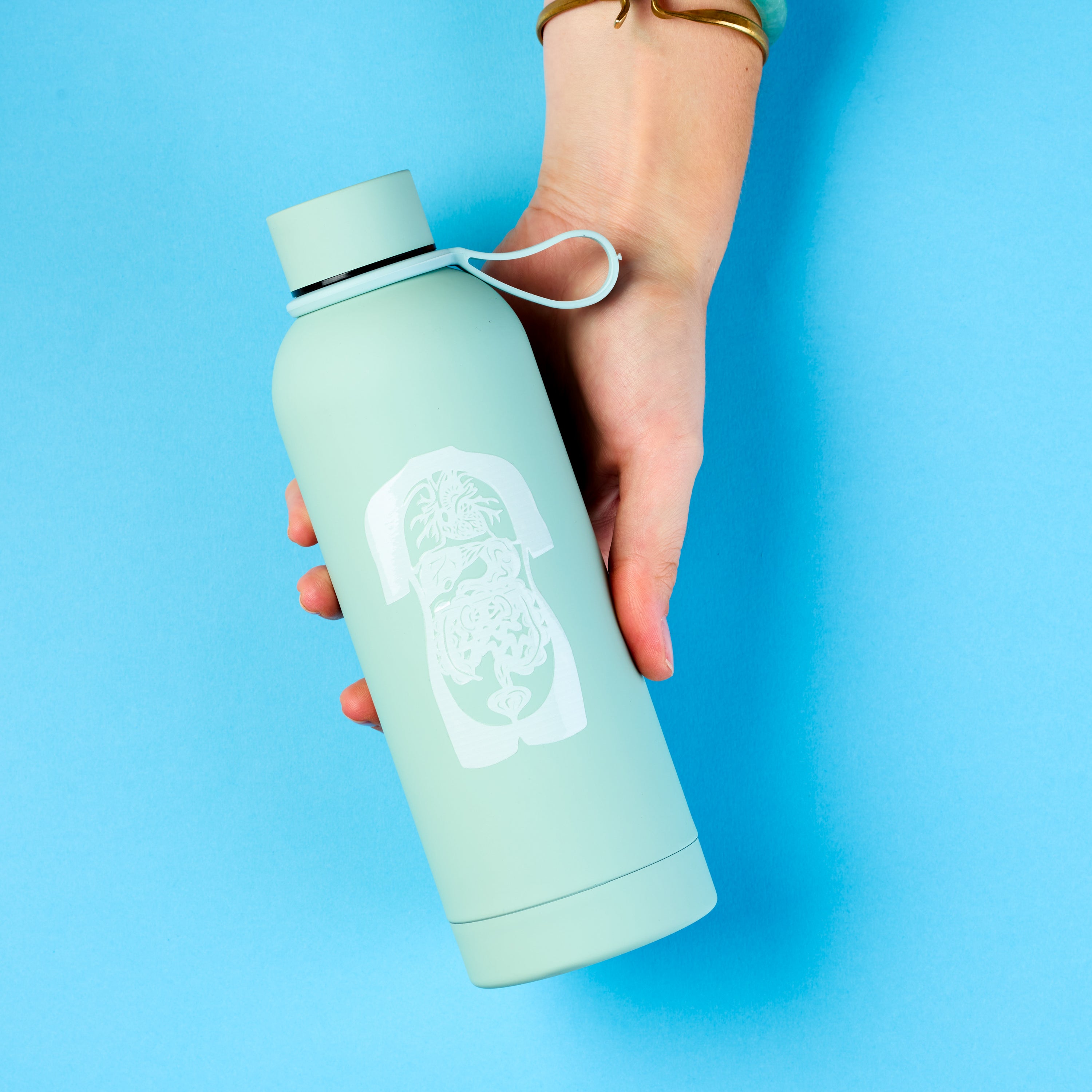 Human Anatomy sticker