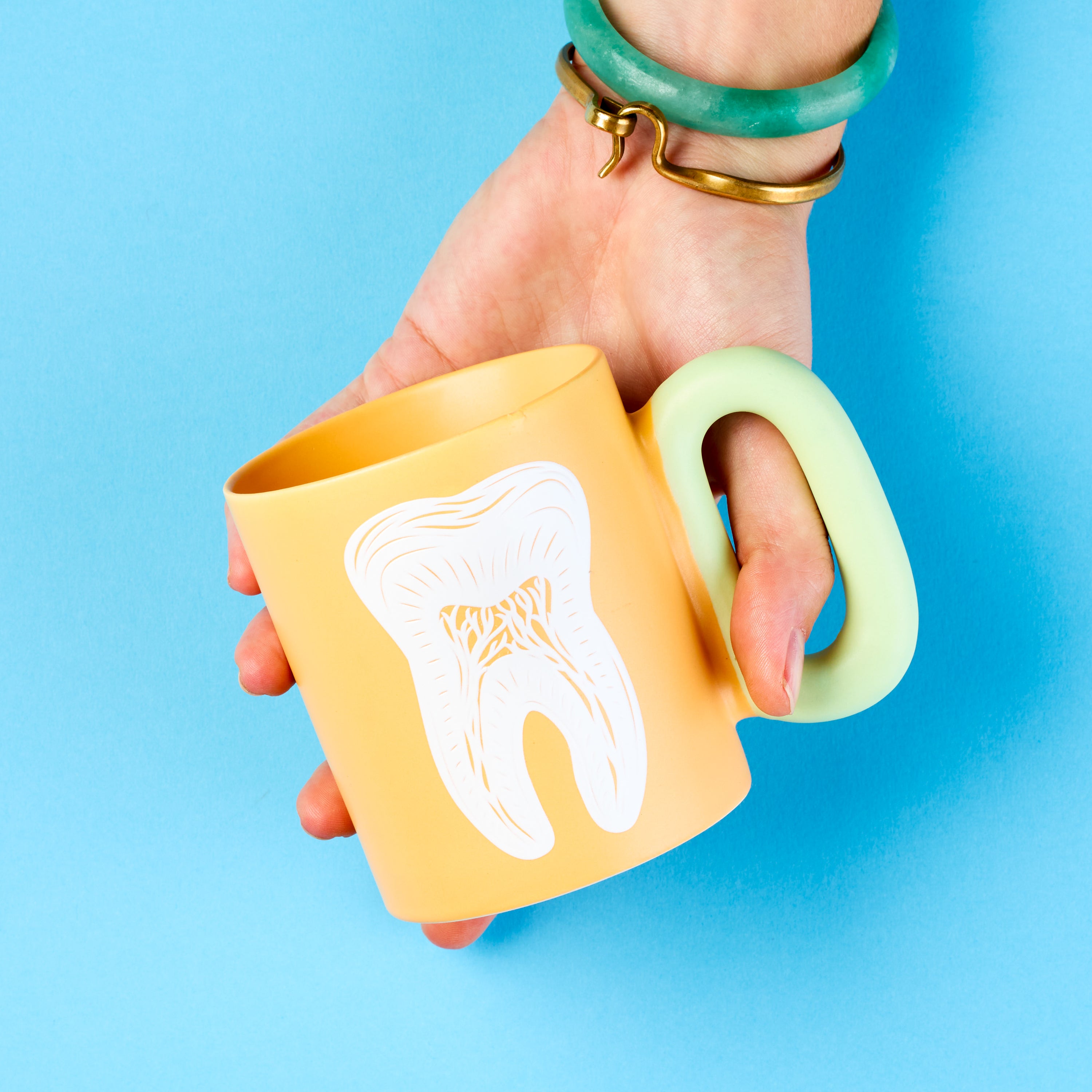 Tooth Anatomy sticker