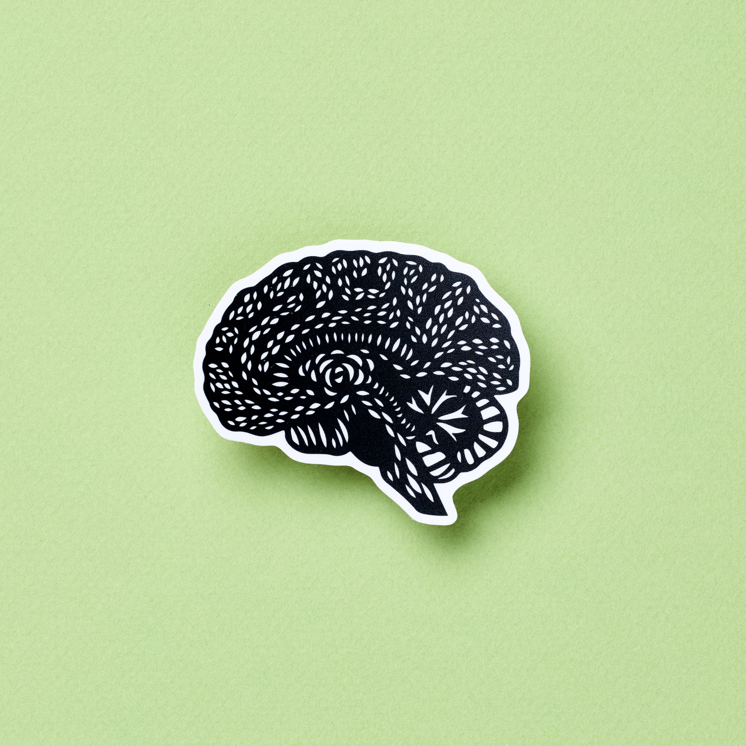 Brain Anatomy vinyl sticker