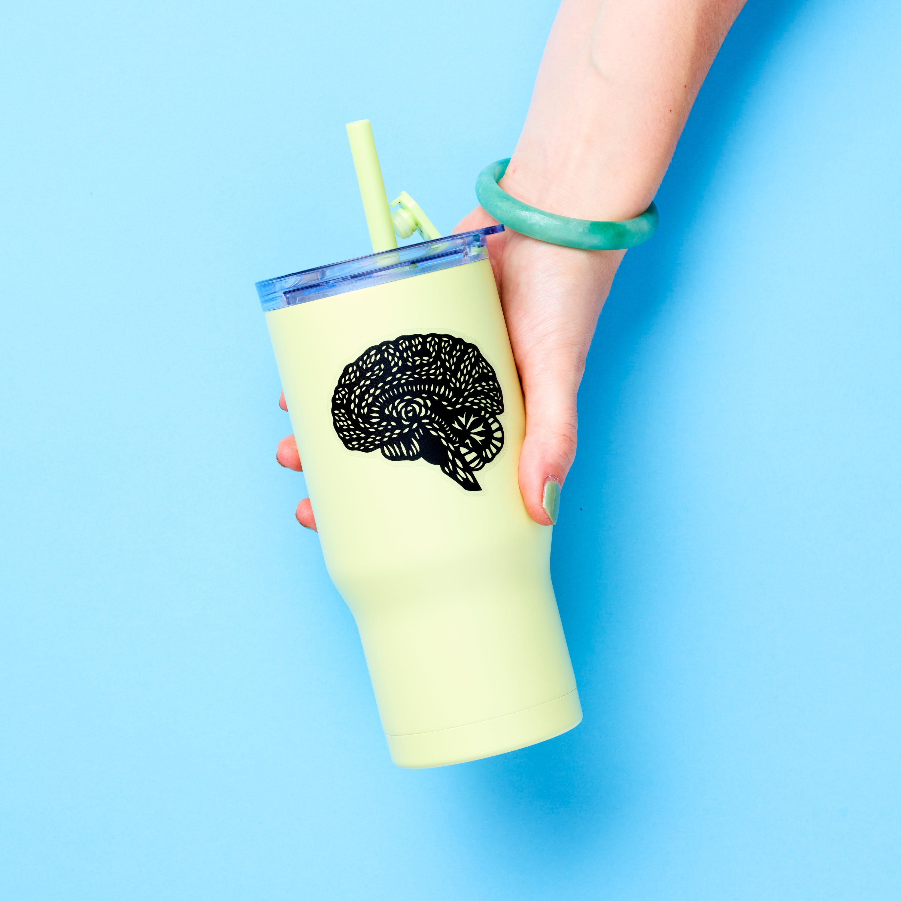 Brain Anatomy vinyl sticker