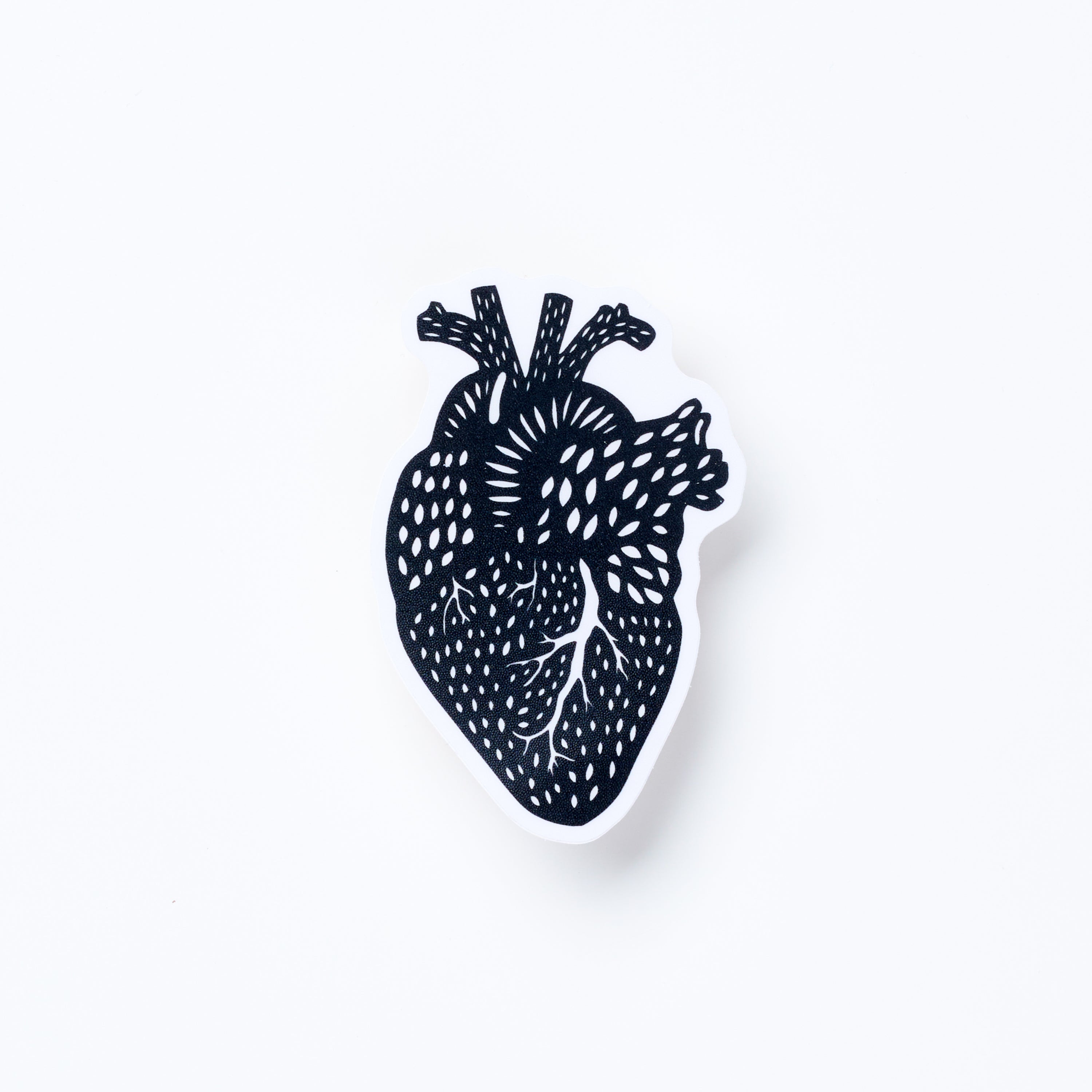 Heart Anatomy vinyl sticker