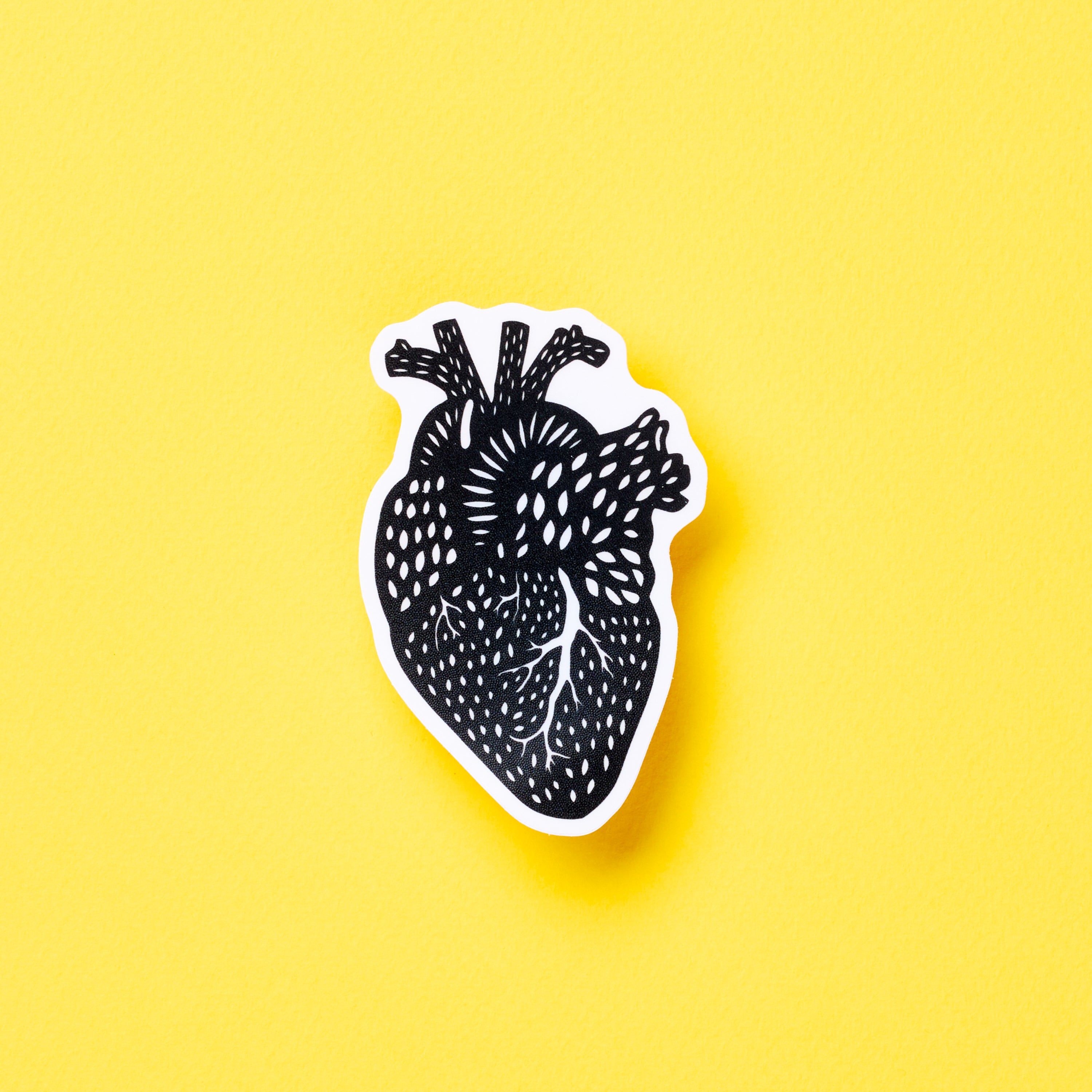 Heart Anatomy vinyl sticker