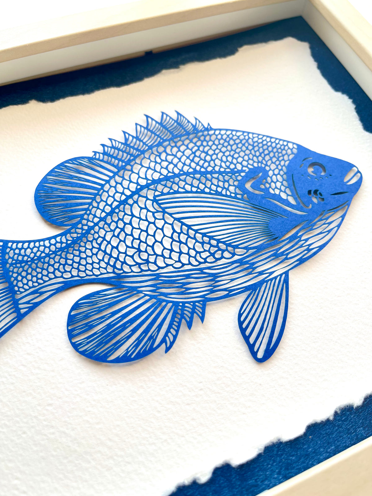 Sun Fish Mounted Papercutting
