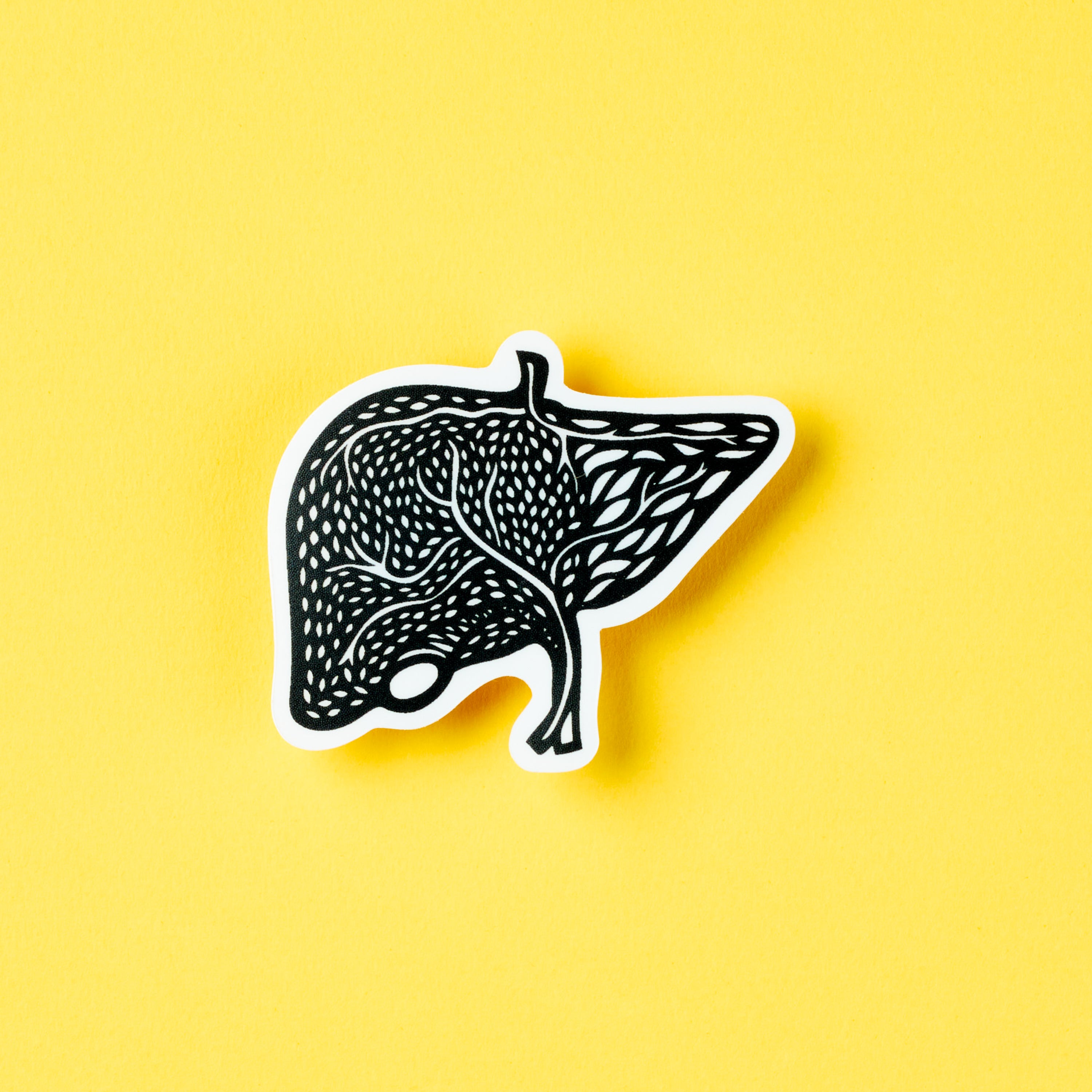 Liver Anatomy Vinyl Sticker