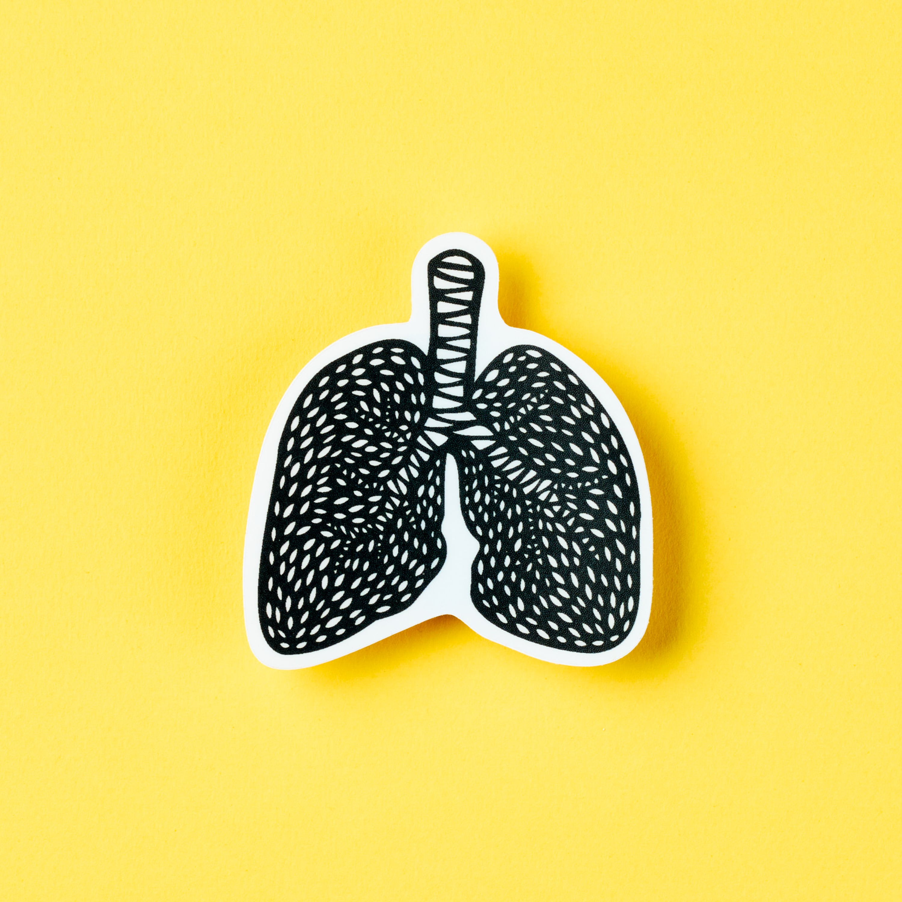 Lungs Anatomy Vinyl Sticker