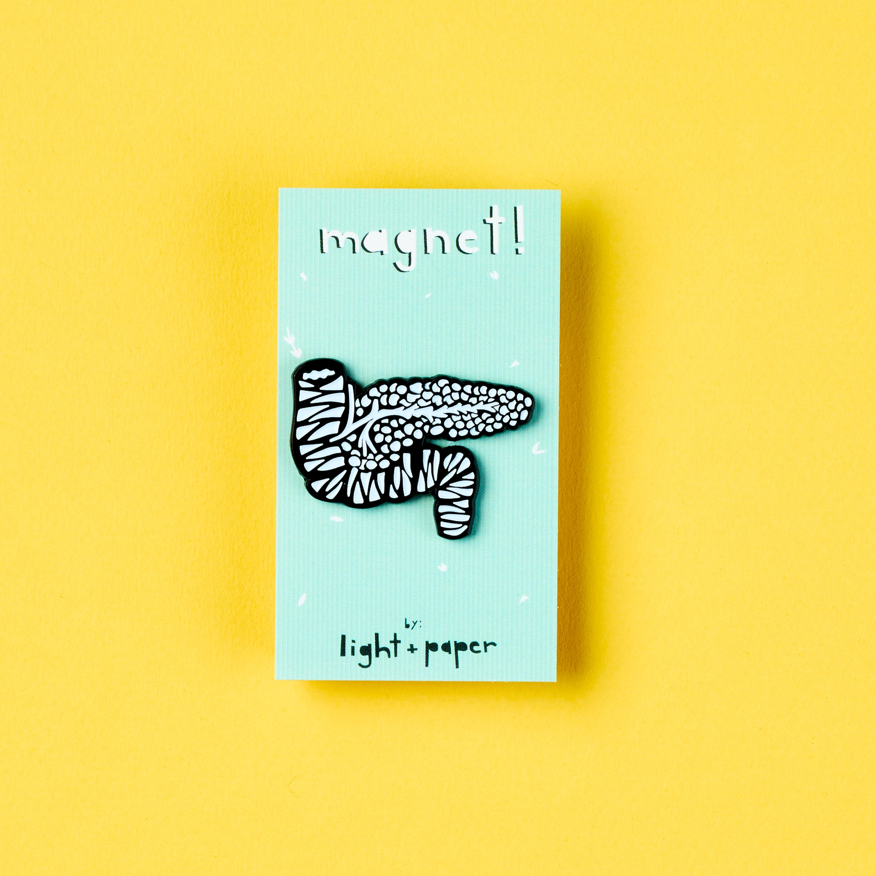 Pancreas Enamel Magnet