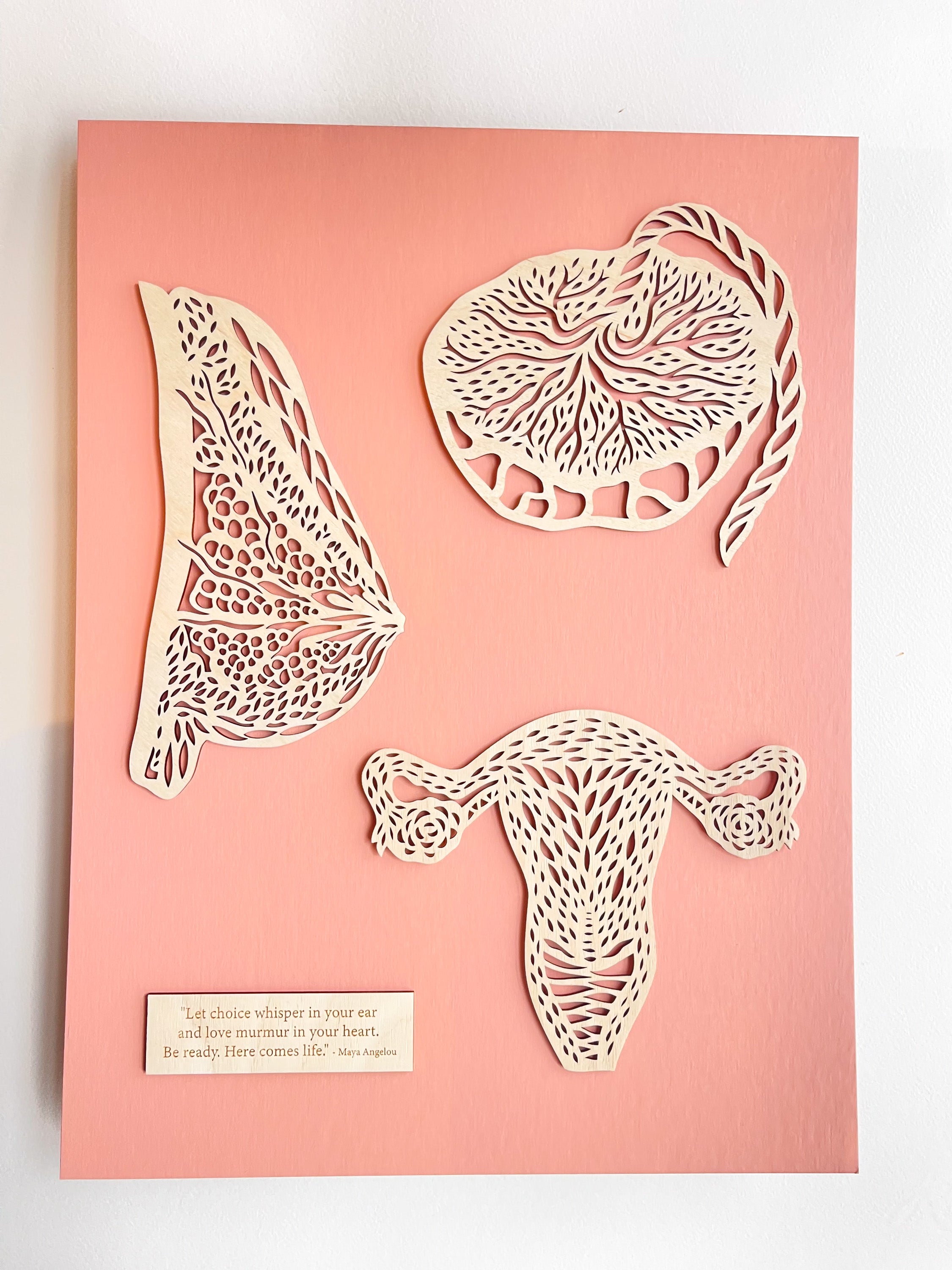 Anatomical Uterus, Breast and Placenta Wooden Mounted