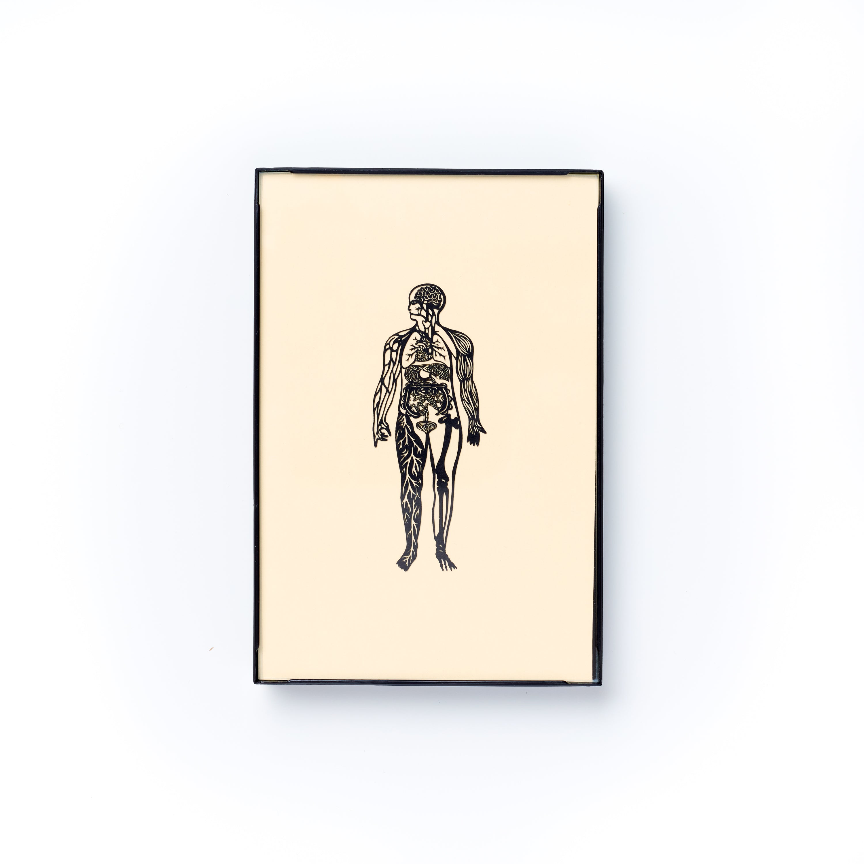 Mini Anatomical Full Body Family Medicine Papercutting Artwork