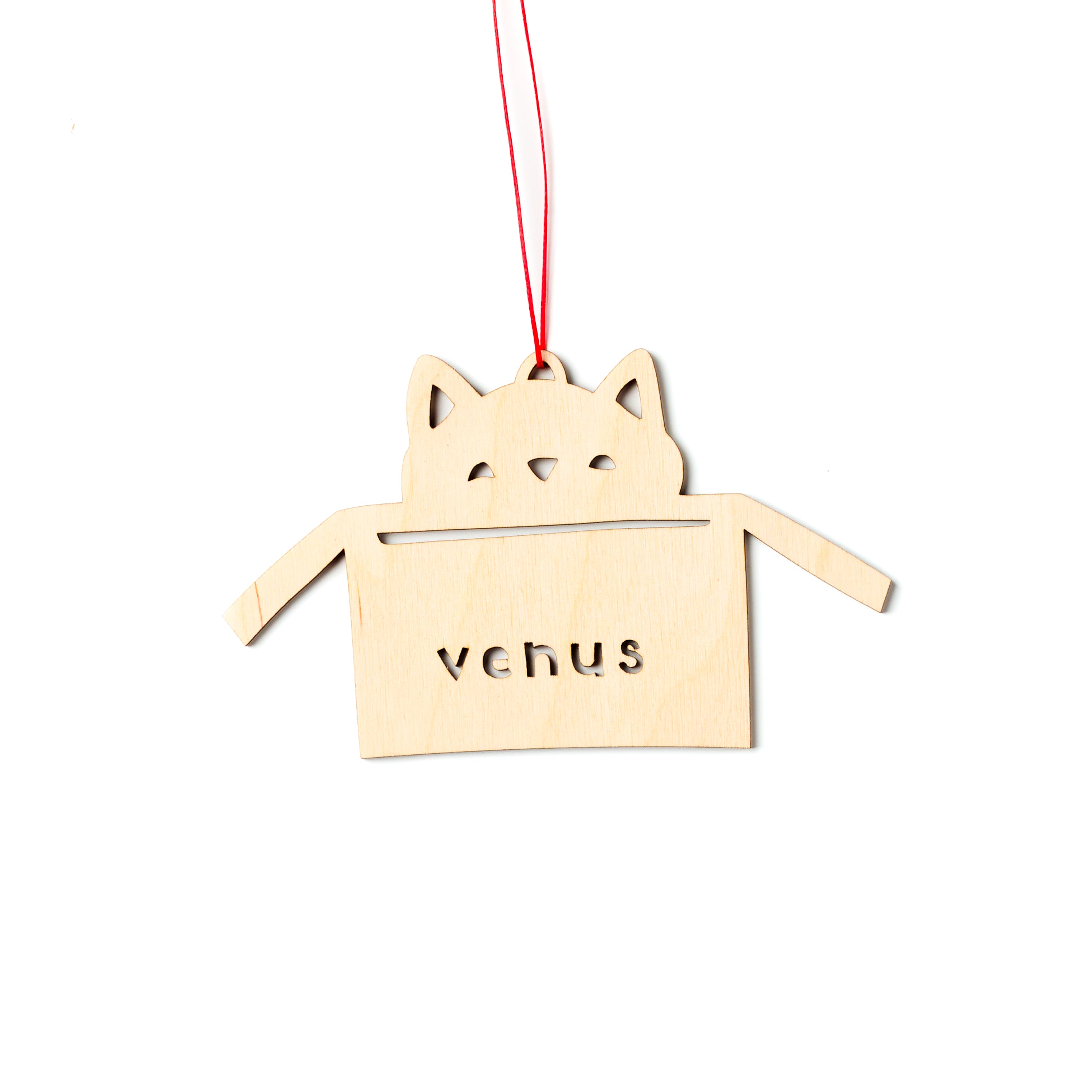Cat in Box Custom Ornament