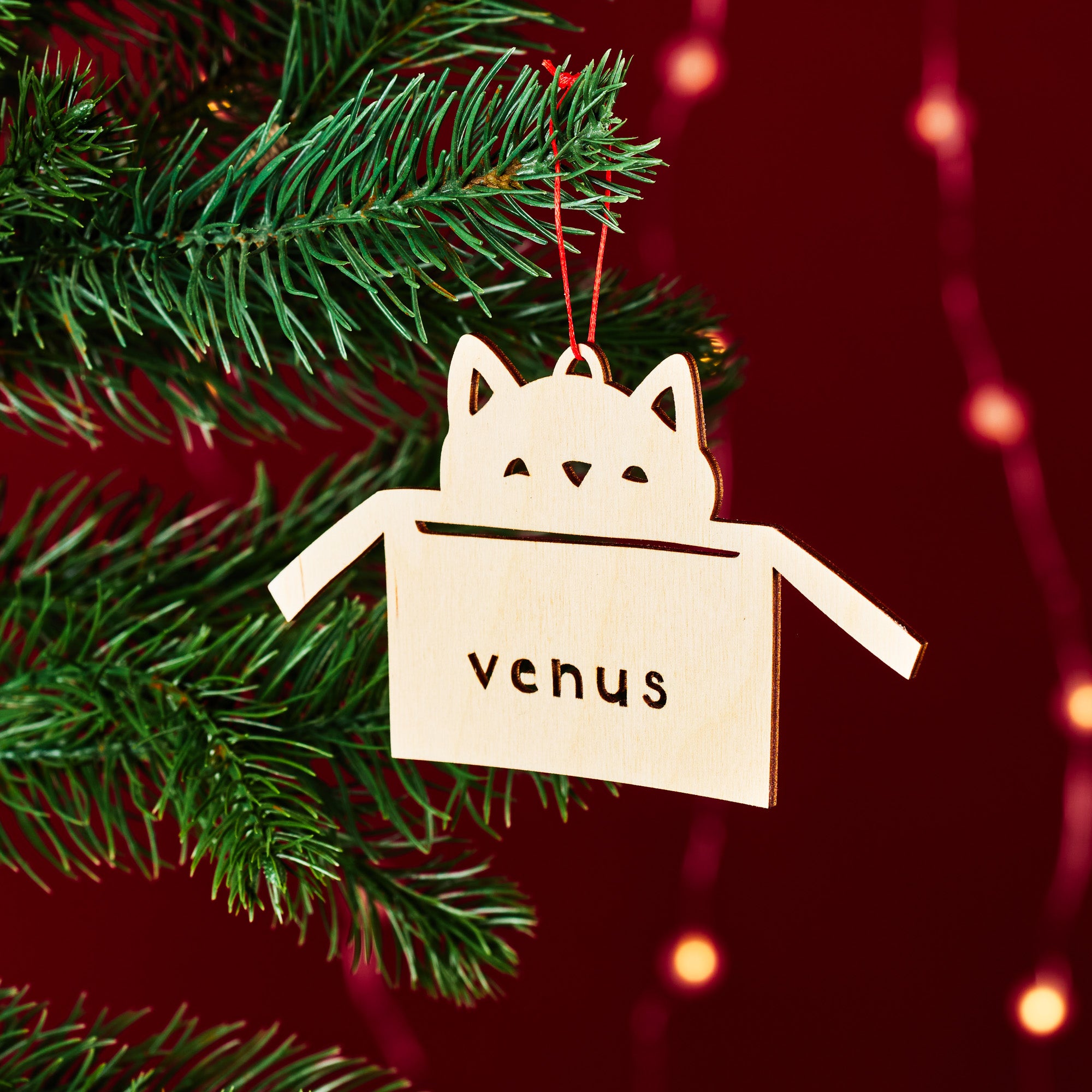 Cat in Box Custom Ornament