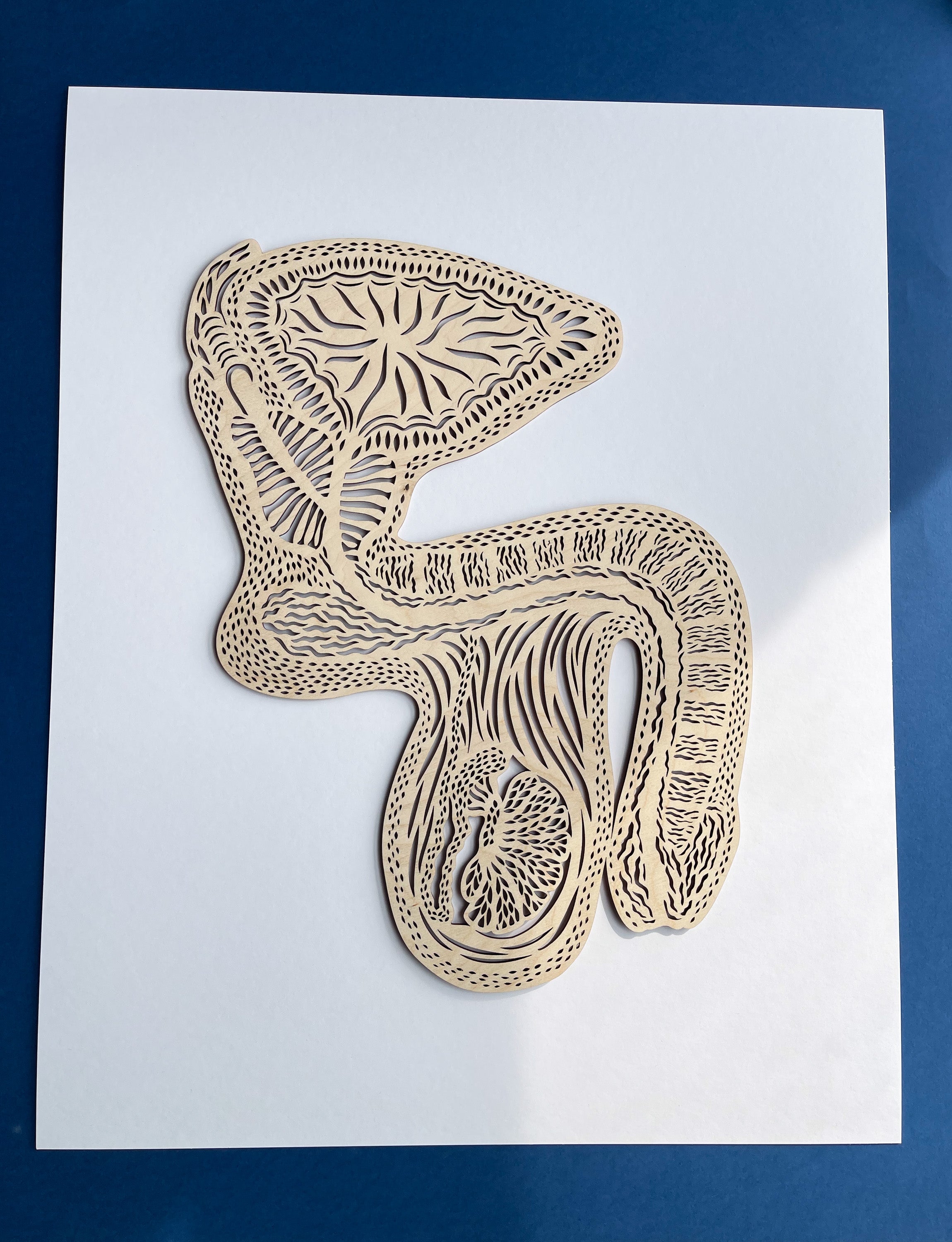 Anatomical Penis/Testicles Wooden Artwork