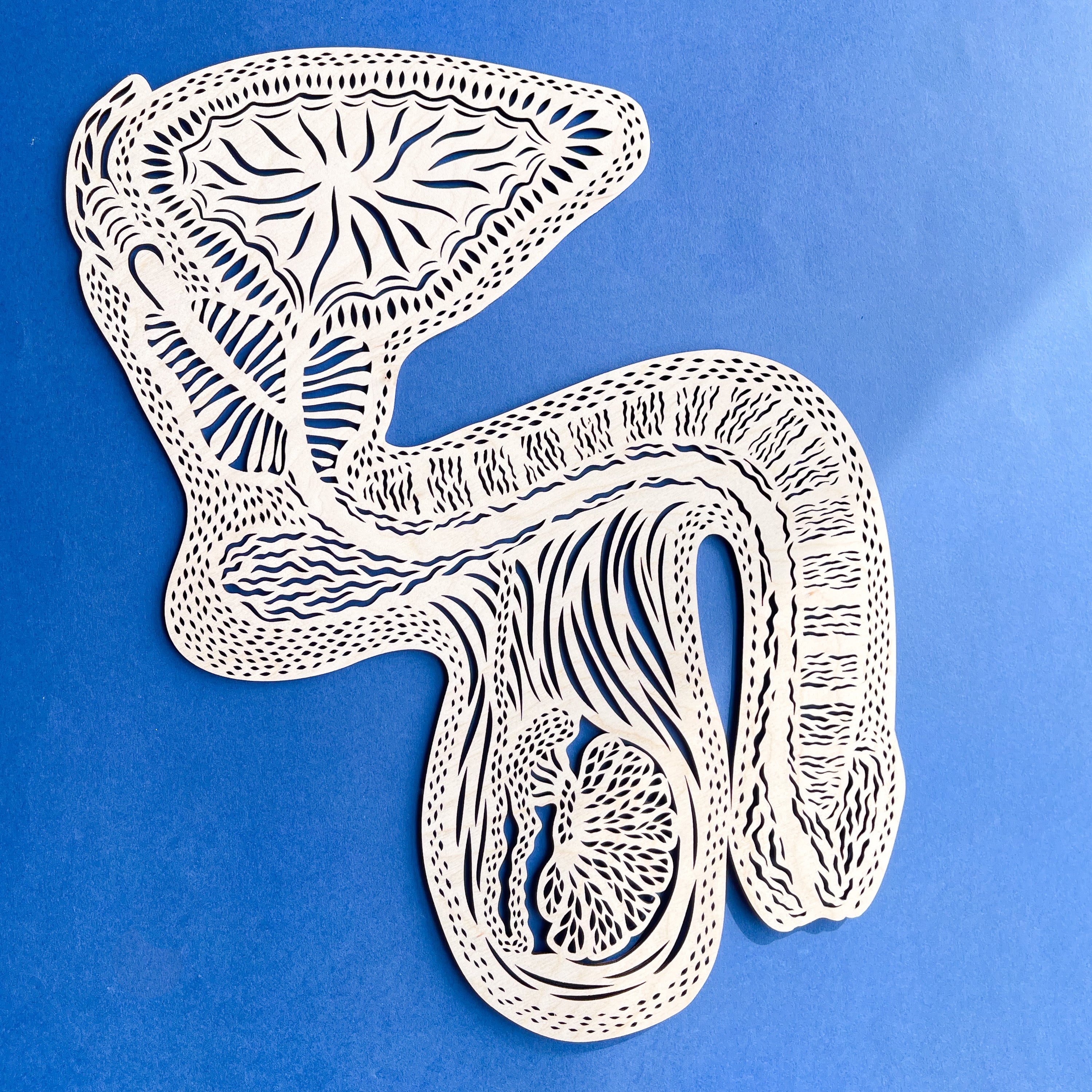 Anatomical Penis/Testicles Wooden Artwork