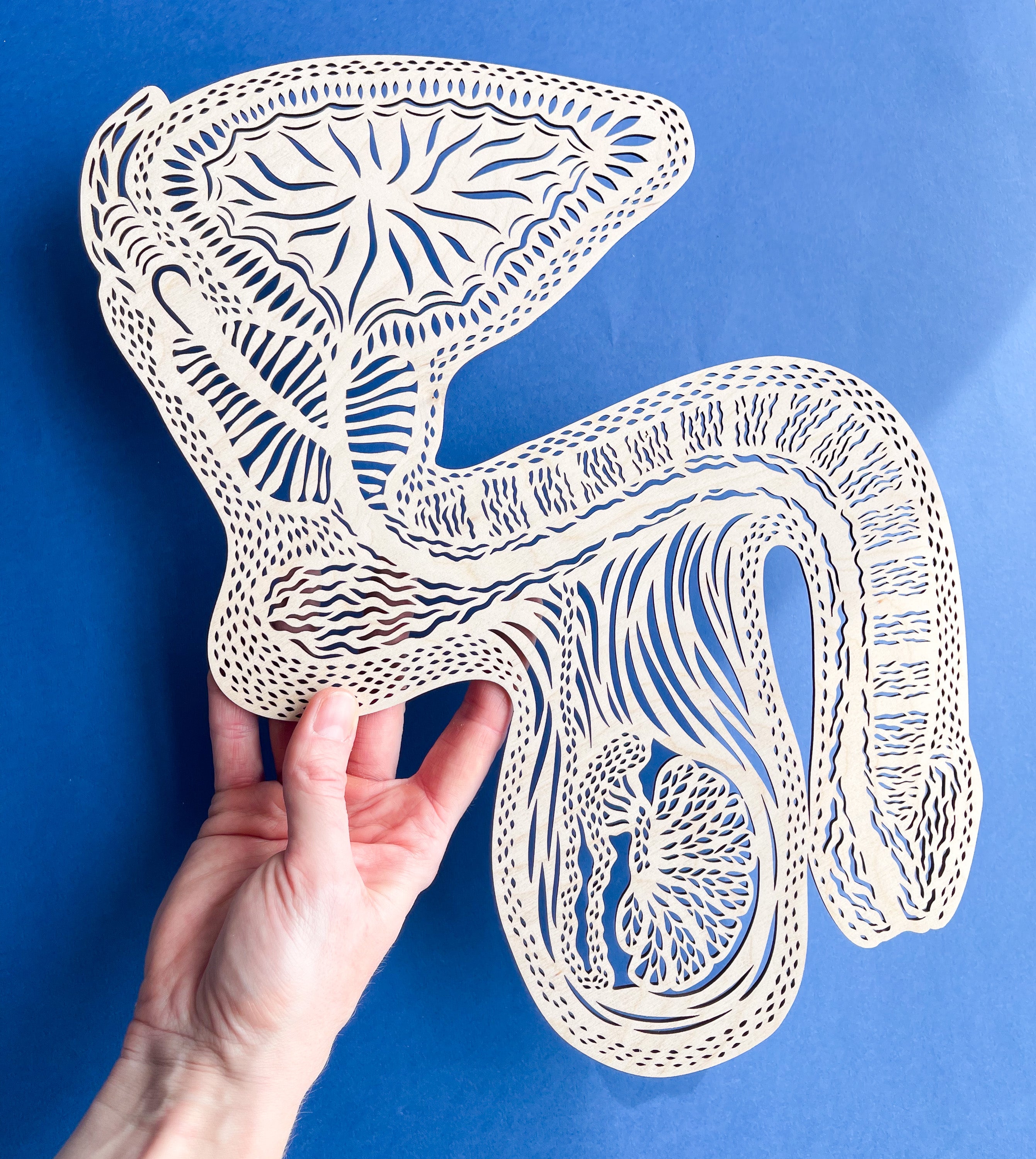 Anatomical Penis/Testicles Wooden Artwork