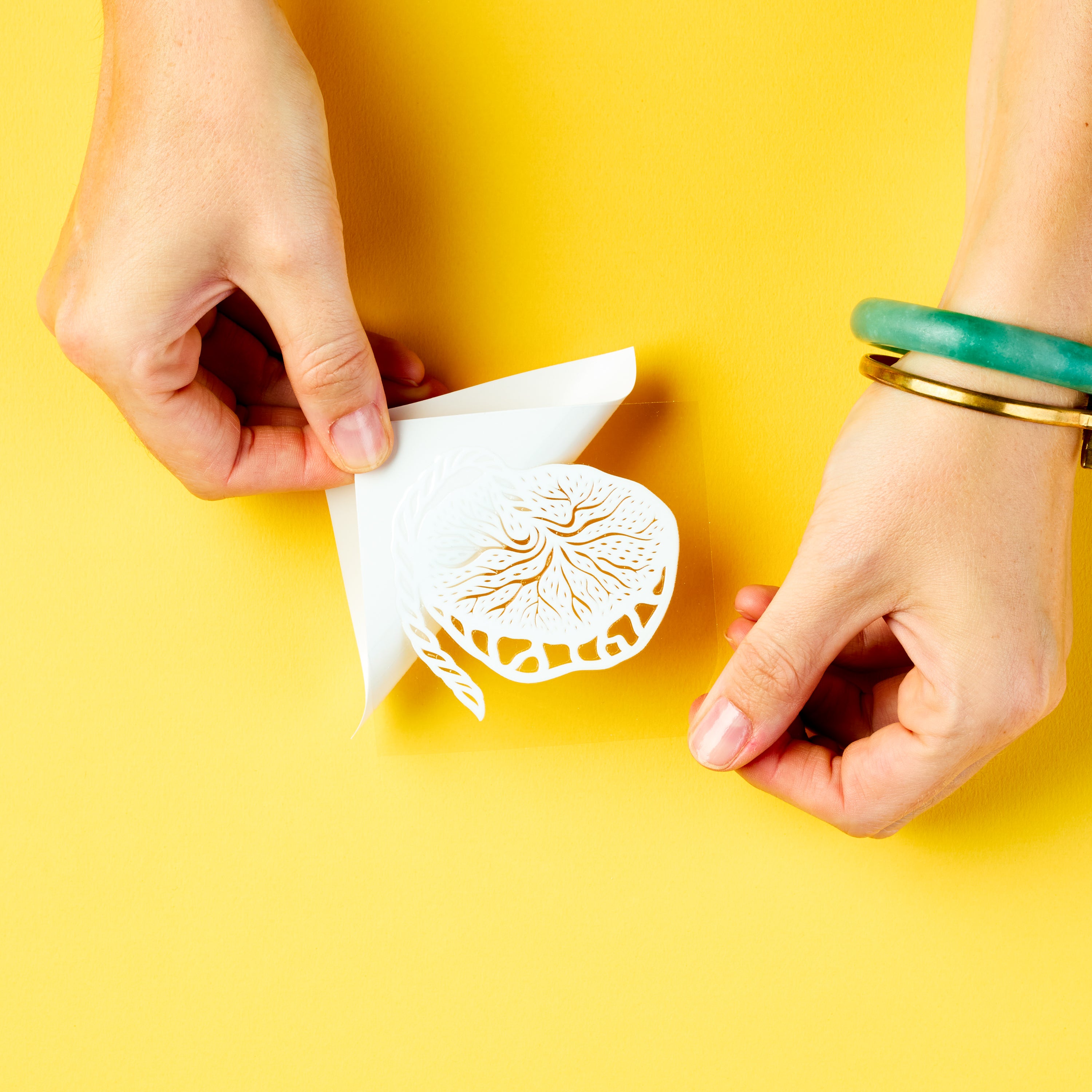 Placenta Anatomy sticker