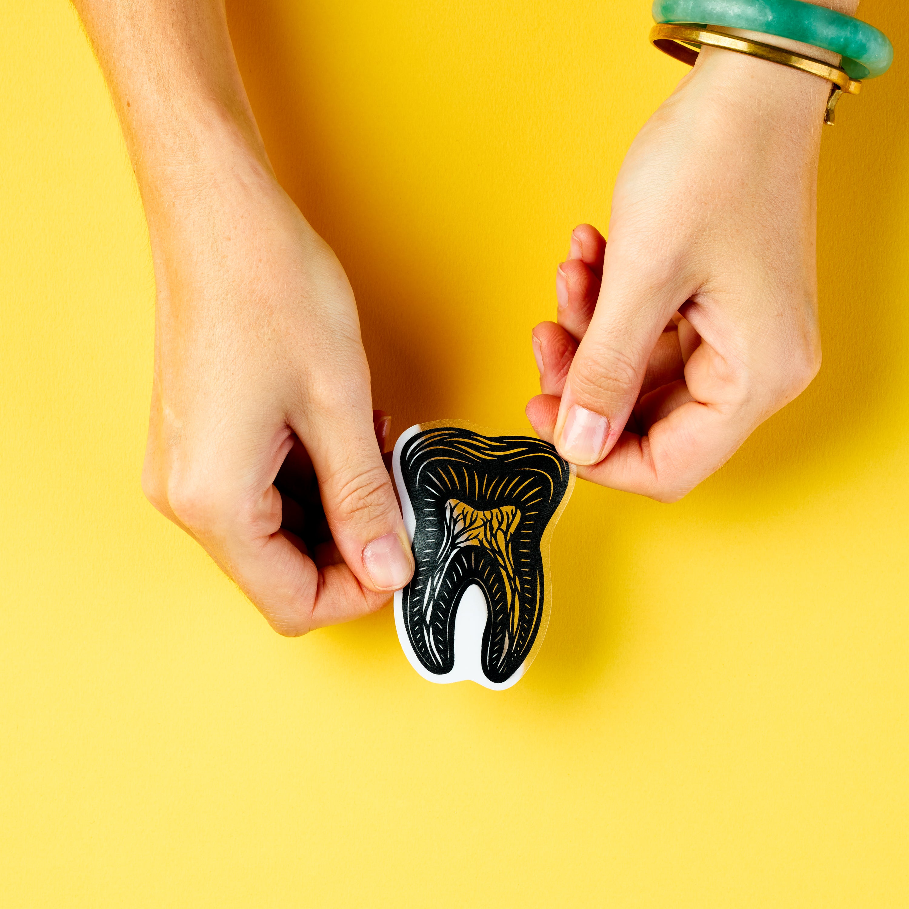Tooth Anatomy sticker