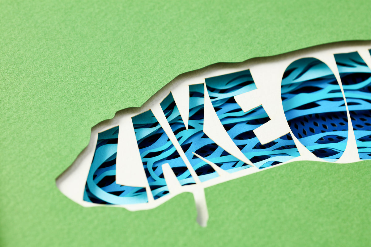 Lake Ontario Framed Papercutting