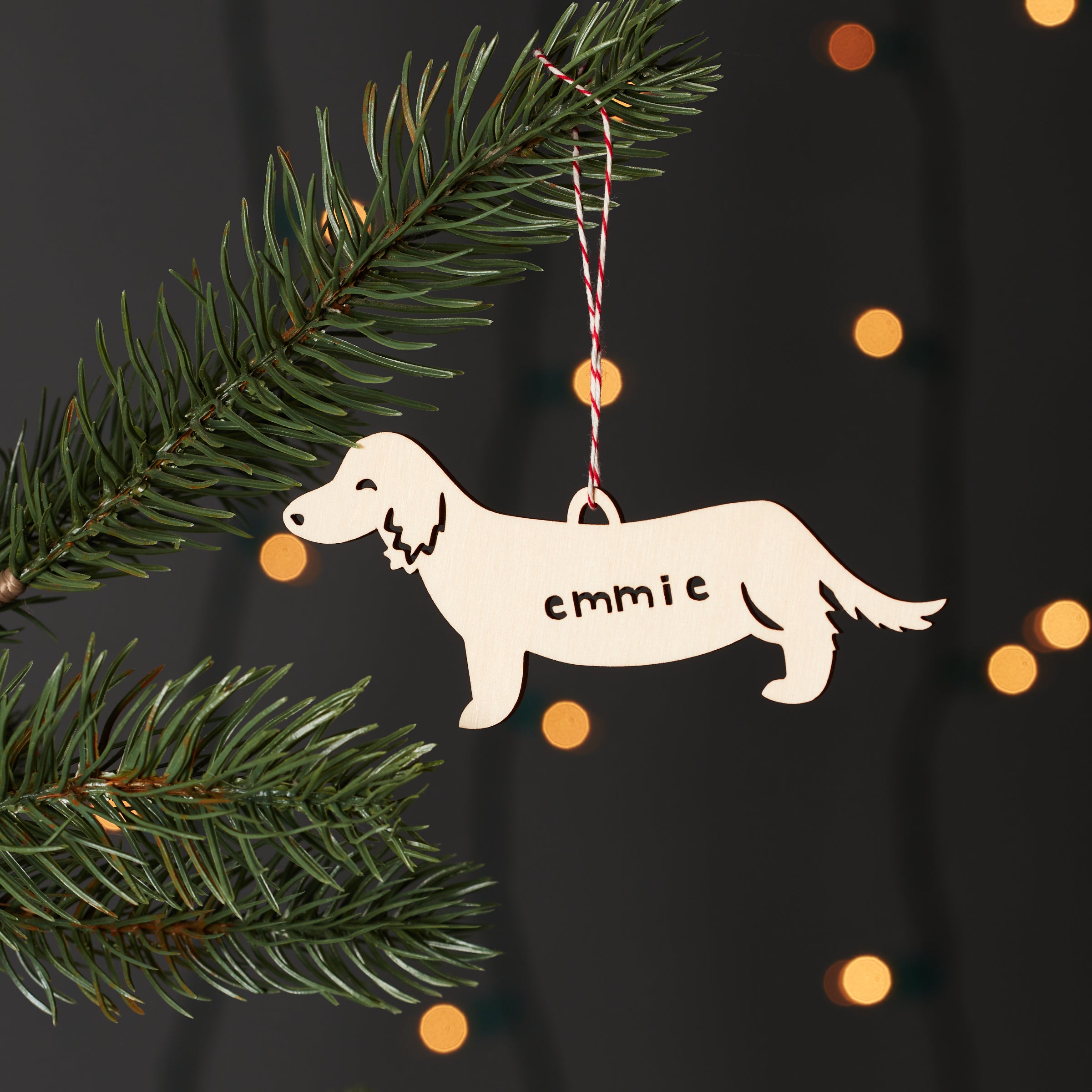 Long Haired Dachshund/Long Mix 2- Dog Custom Ornament