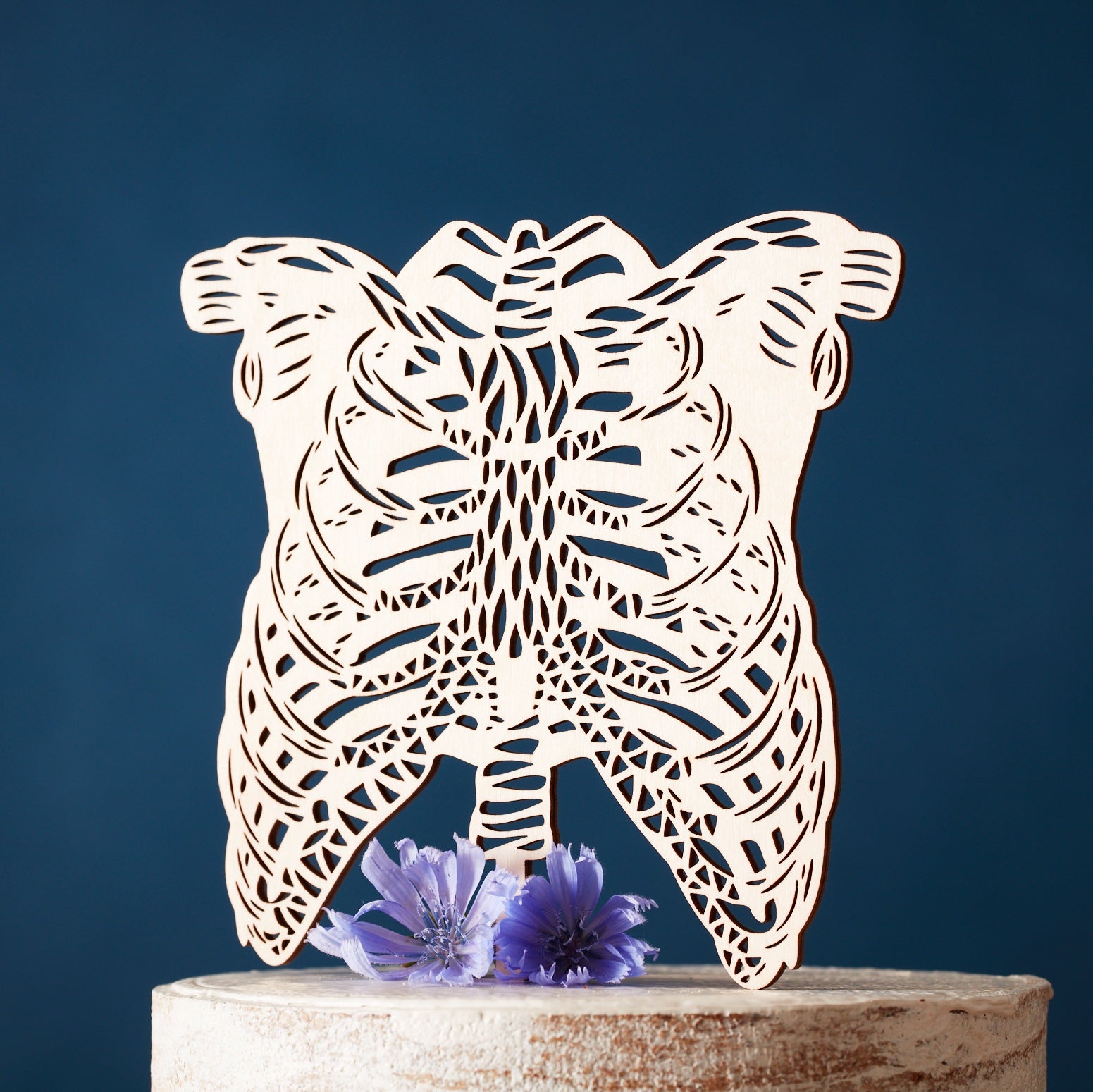 Hot Anatomical Papercut: Ribs