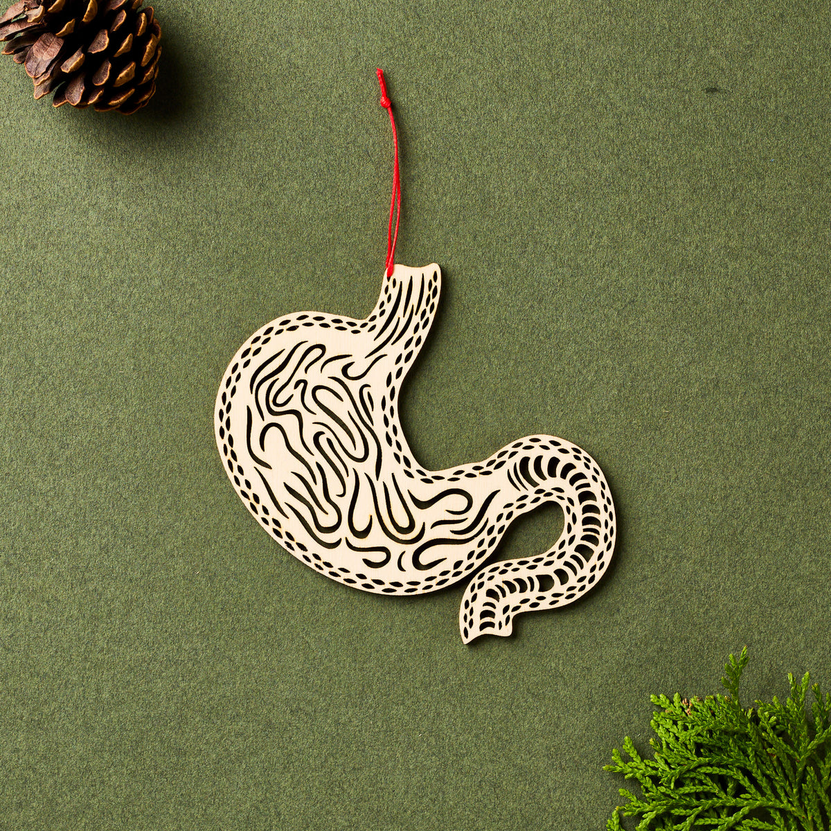 Stomach Anatomy Ornament
