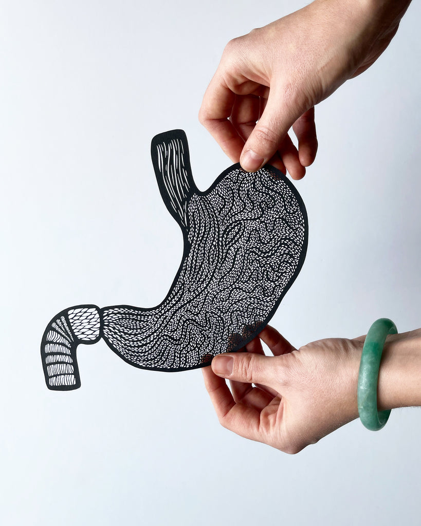 Anatomical Stomach Papercutting Artwork