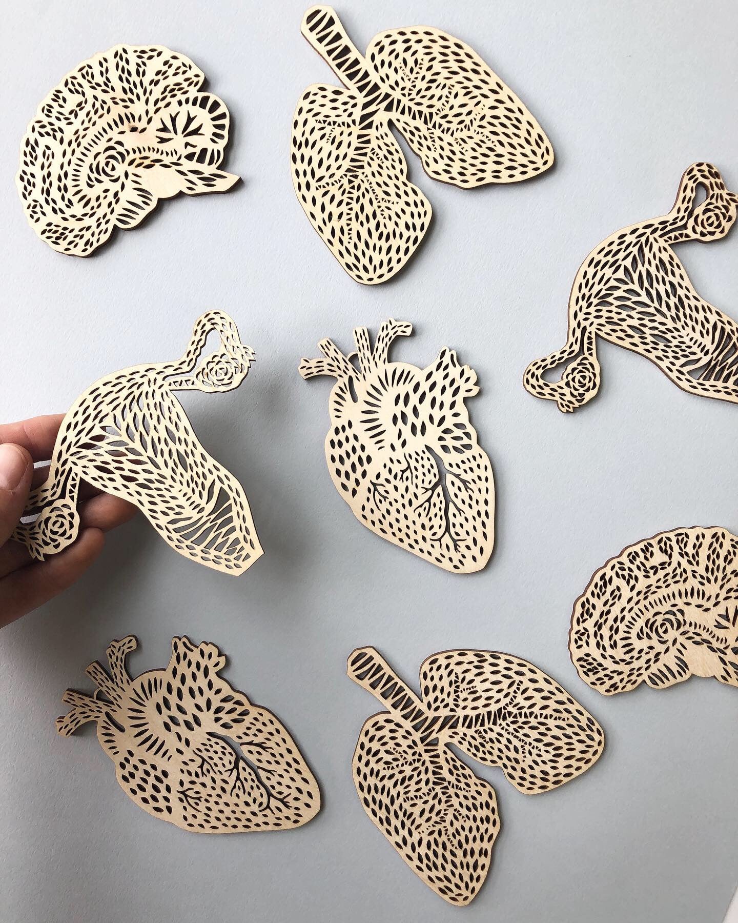 Brain Anatomy Ornament