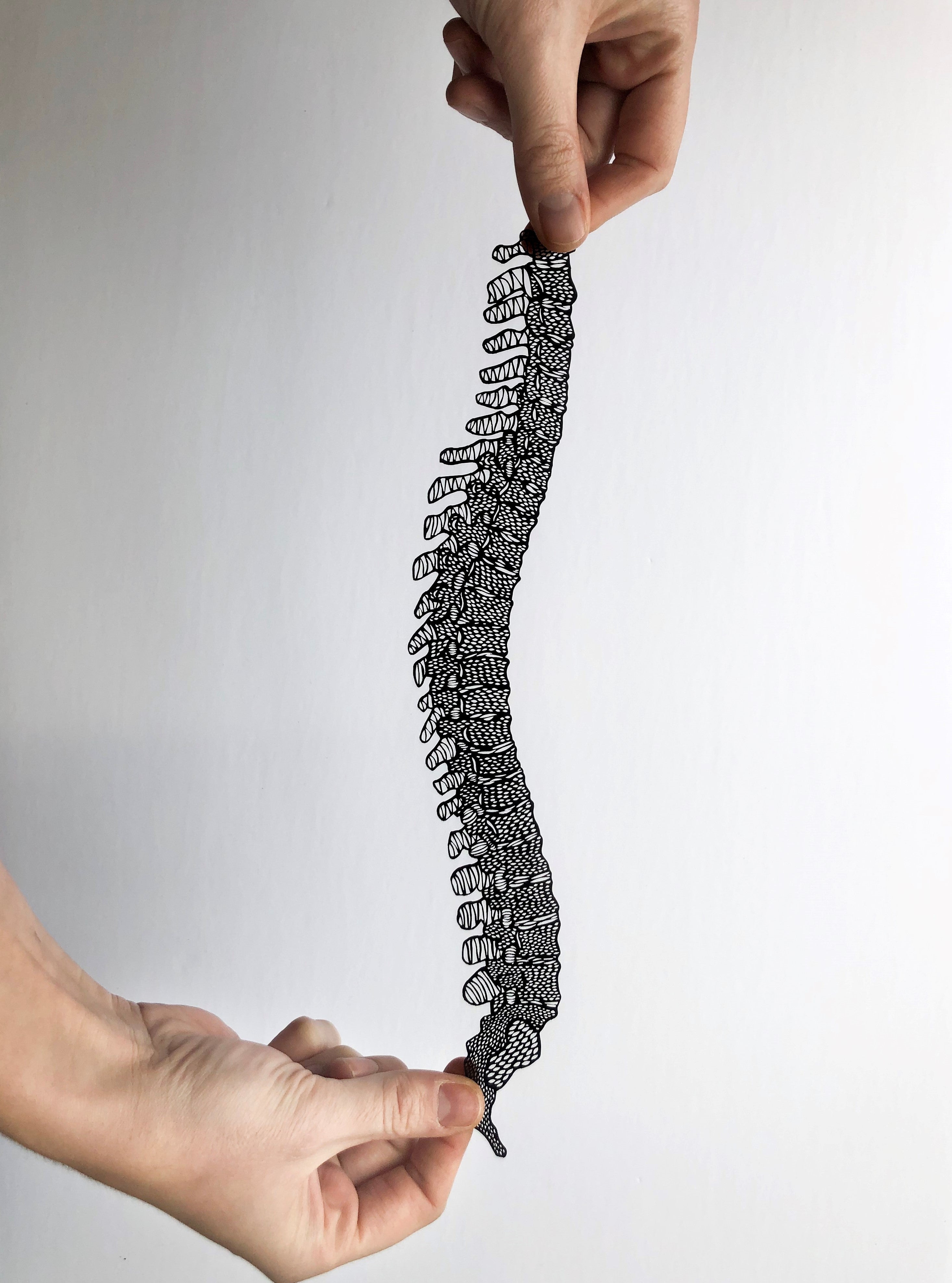 Anatomical Spine Papercutting Artwork