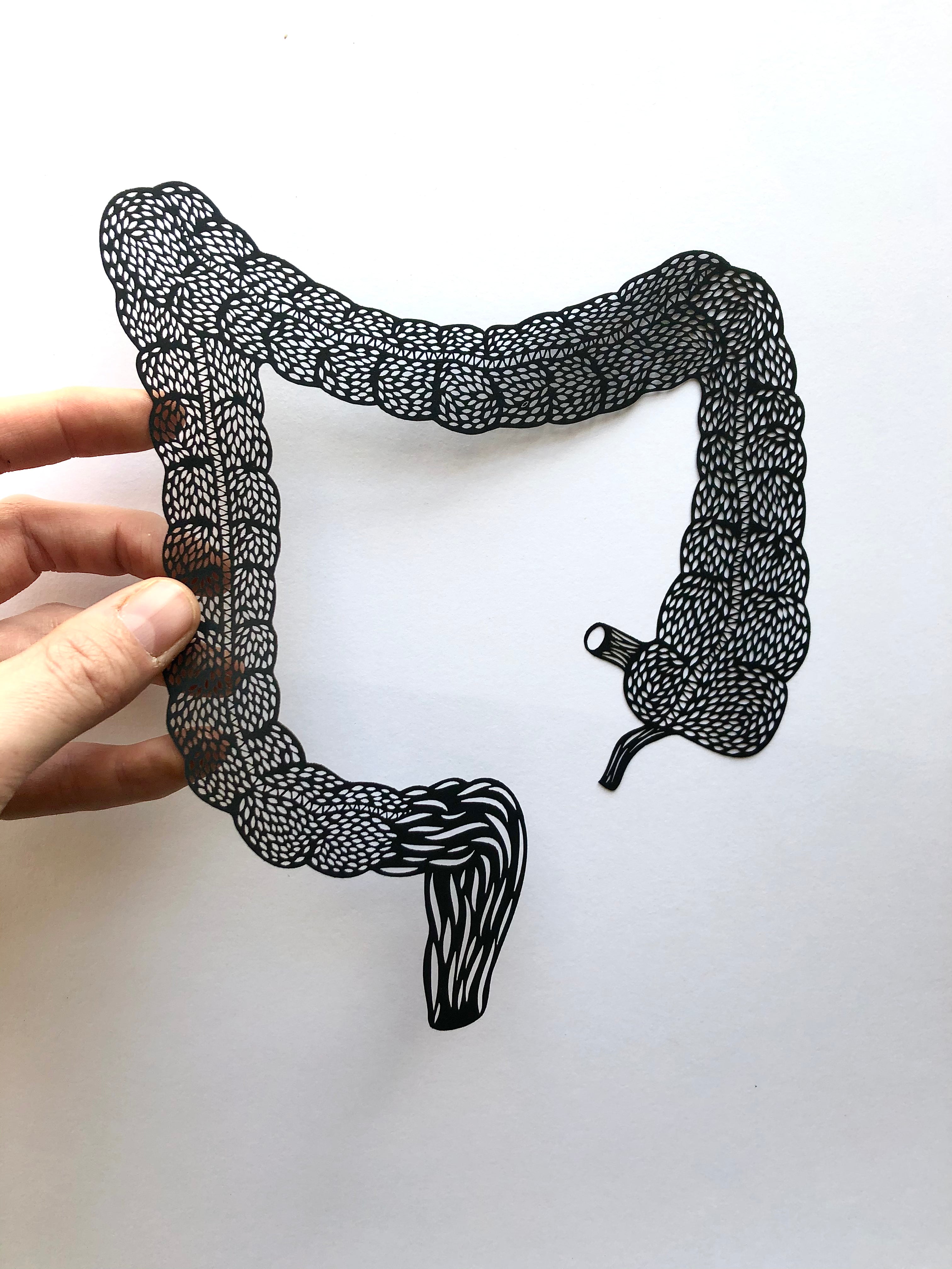Anatomical Large Intestine Papercutting Artwork