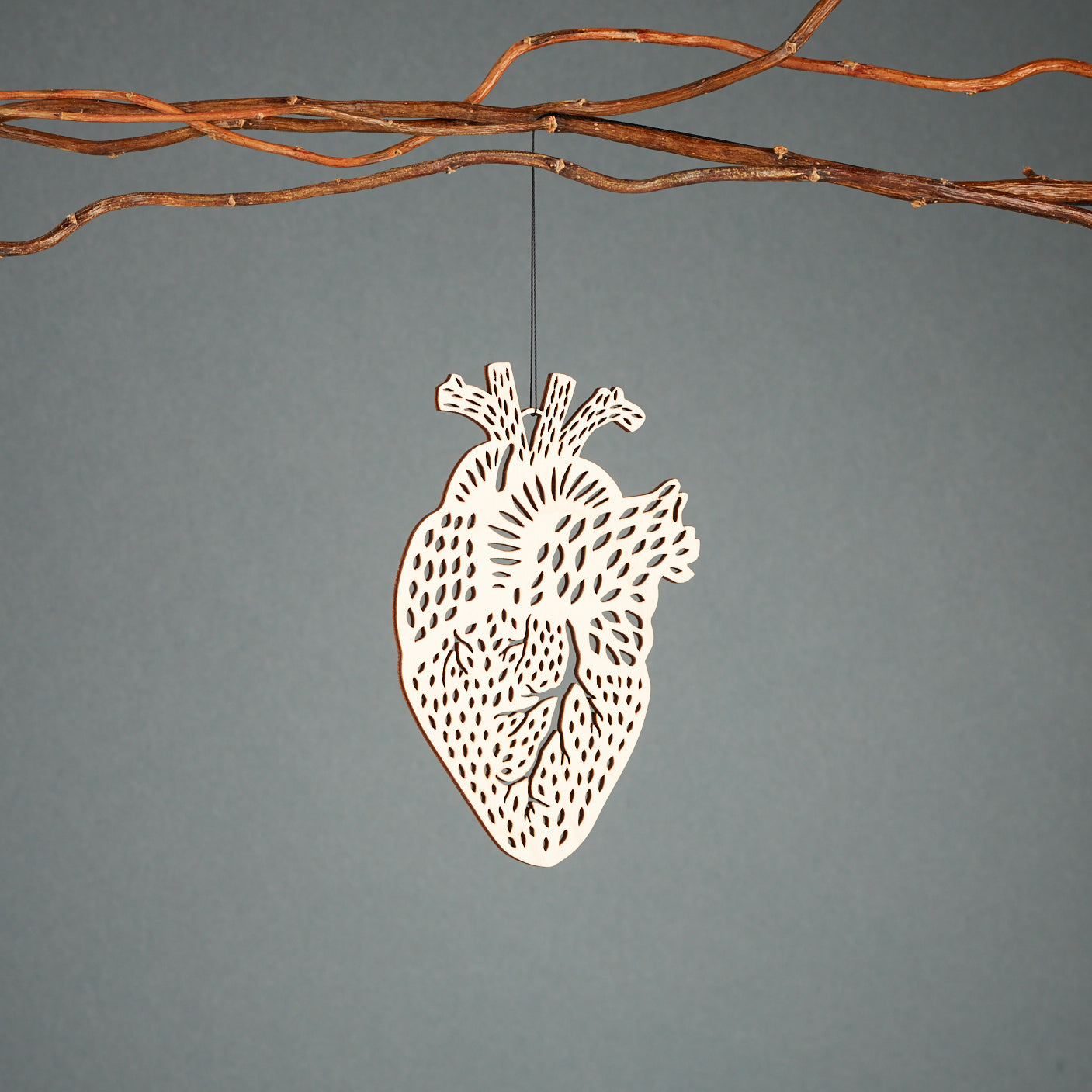 Heart Anatomy Ornament