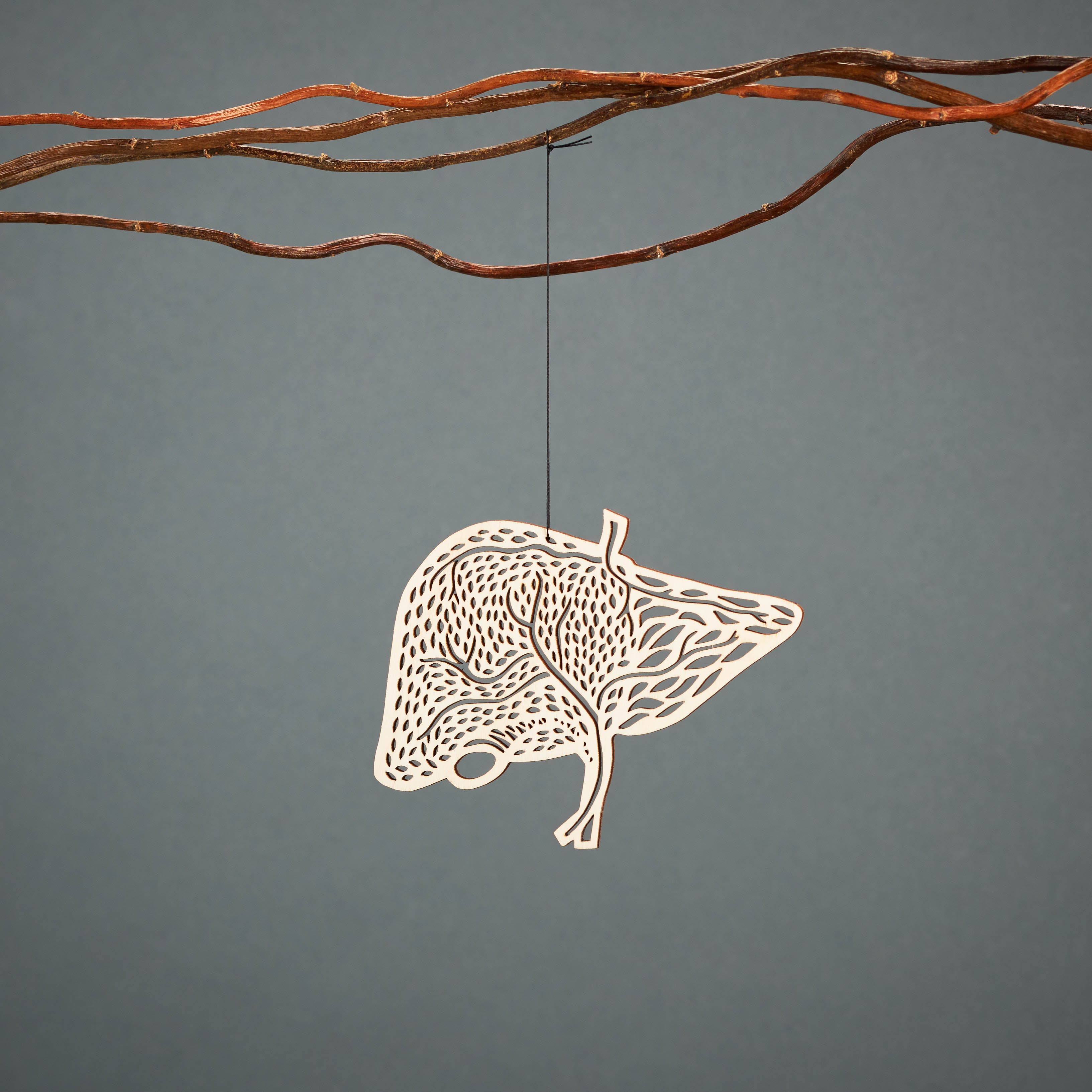 Liver Anatomy Ornament