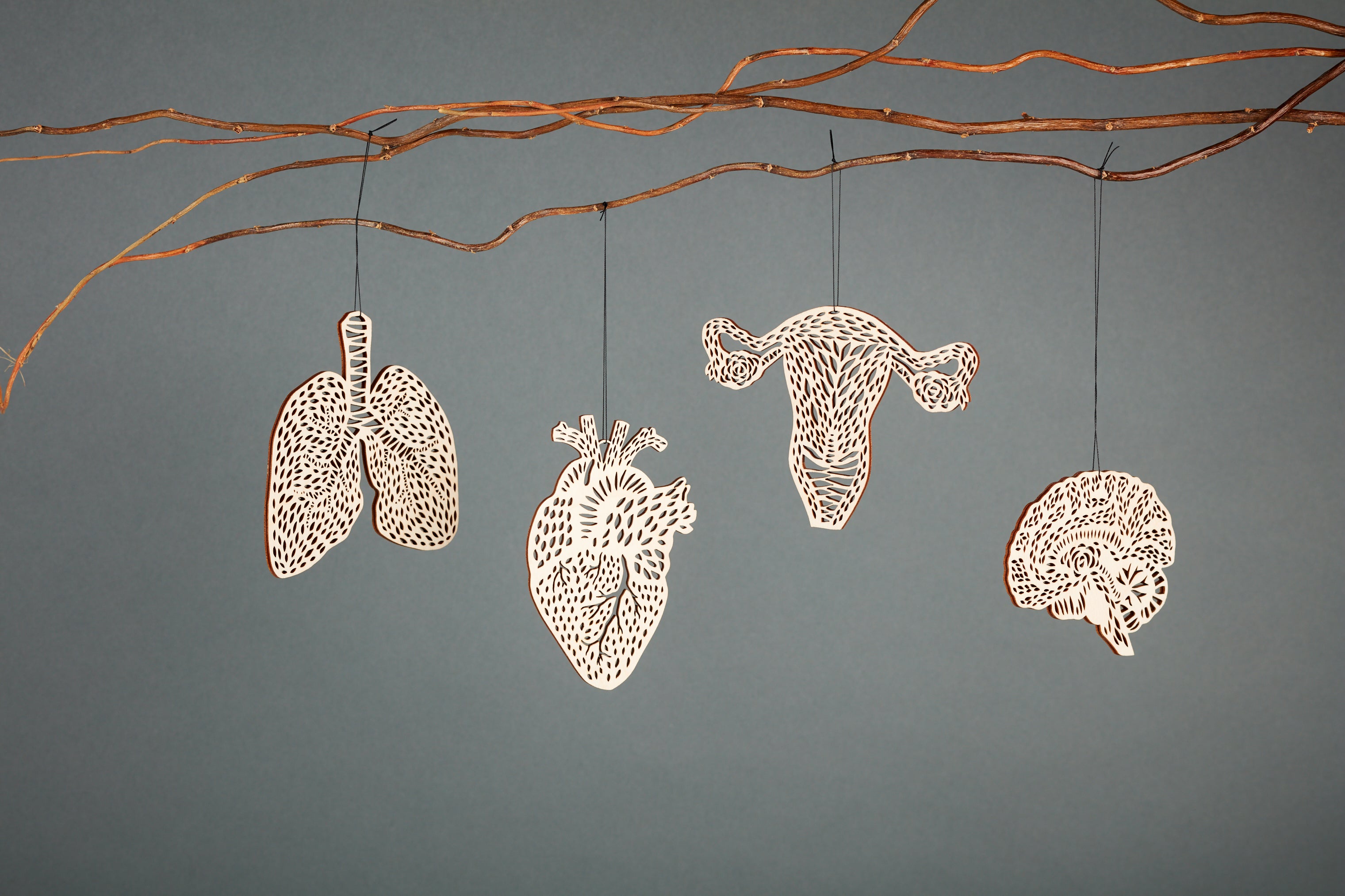 Lungs Anatomy Ornament