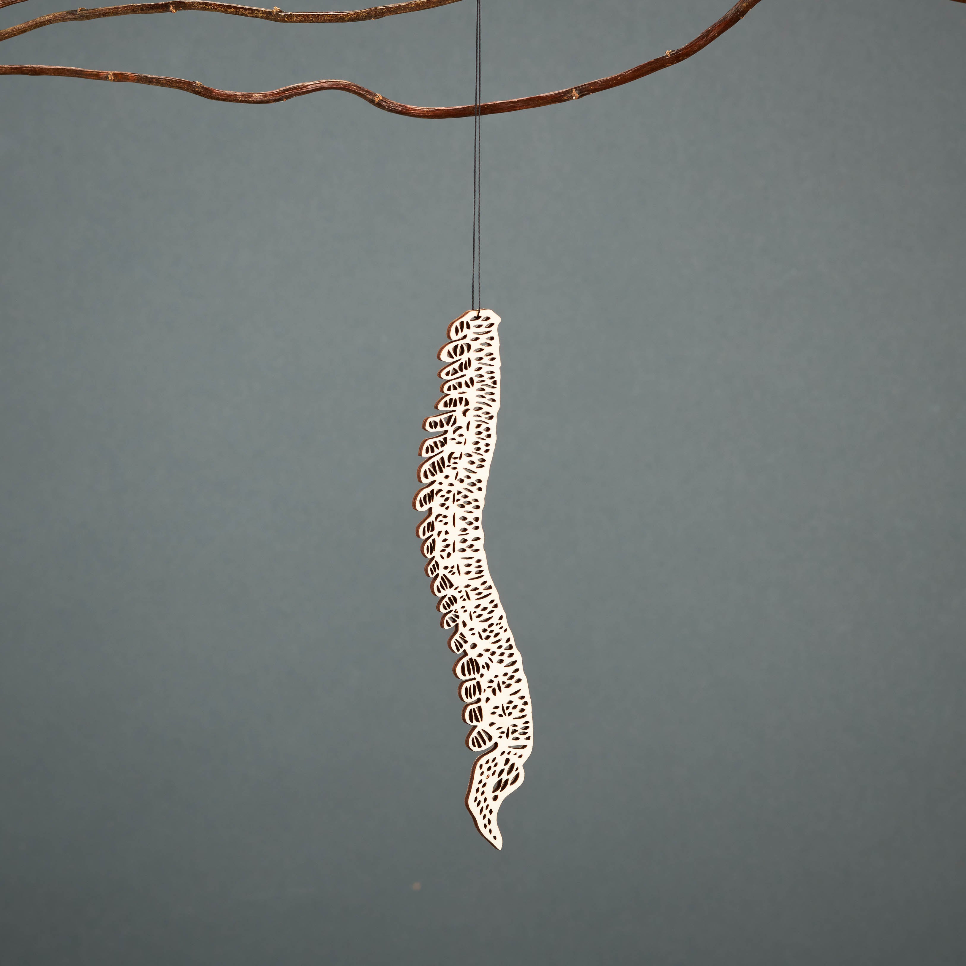 Spine Anatomy Ornament