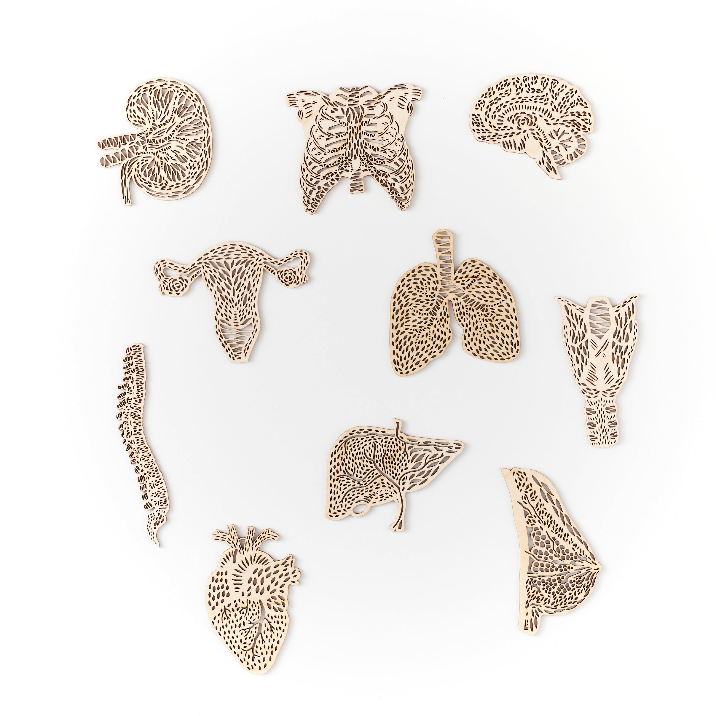 Heart Anatomy Ornament