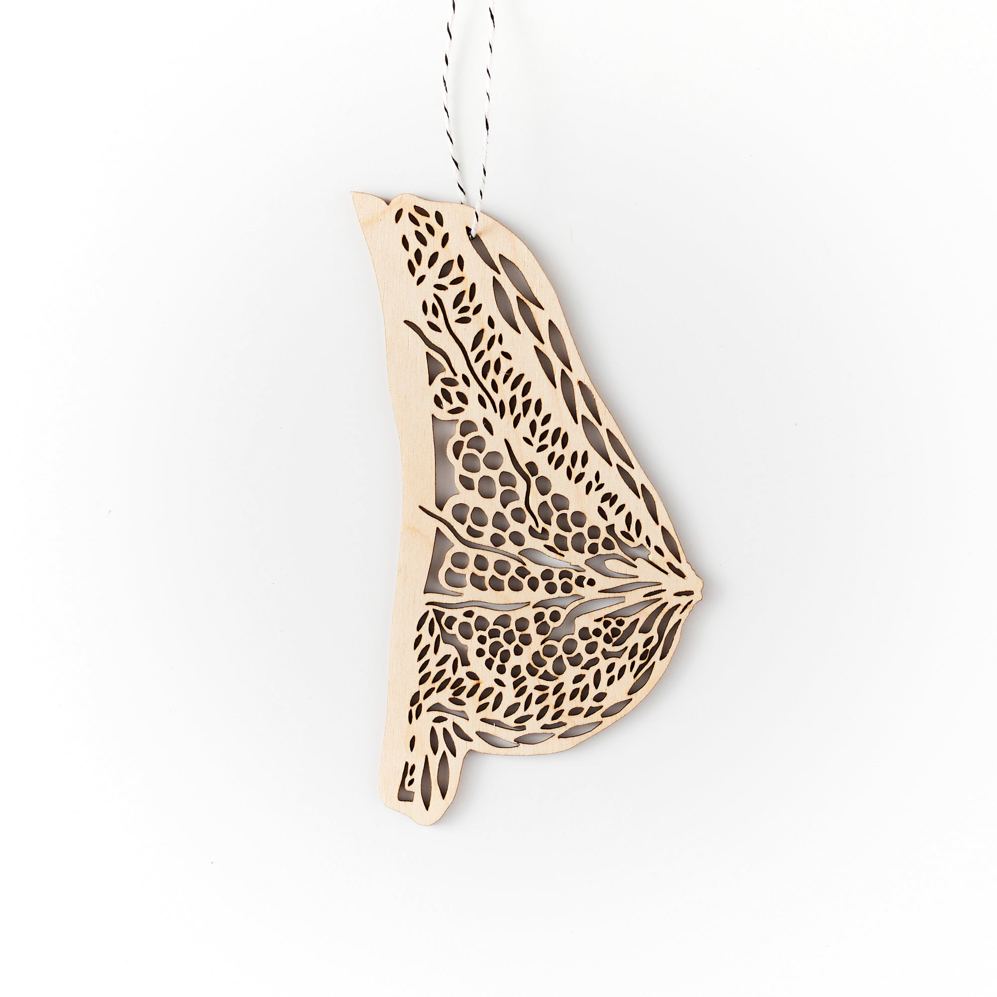 Breast Anatomy Ornament
