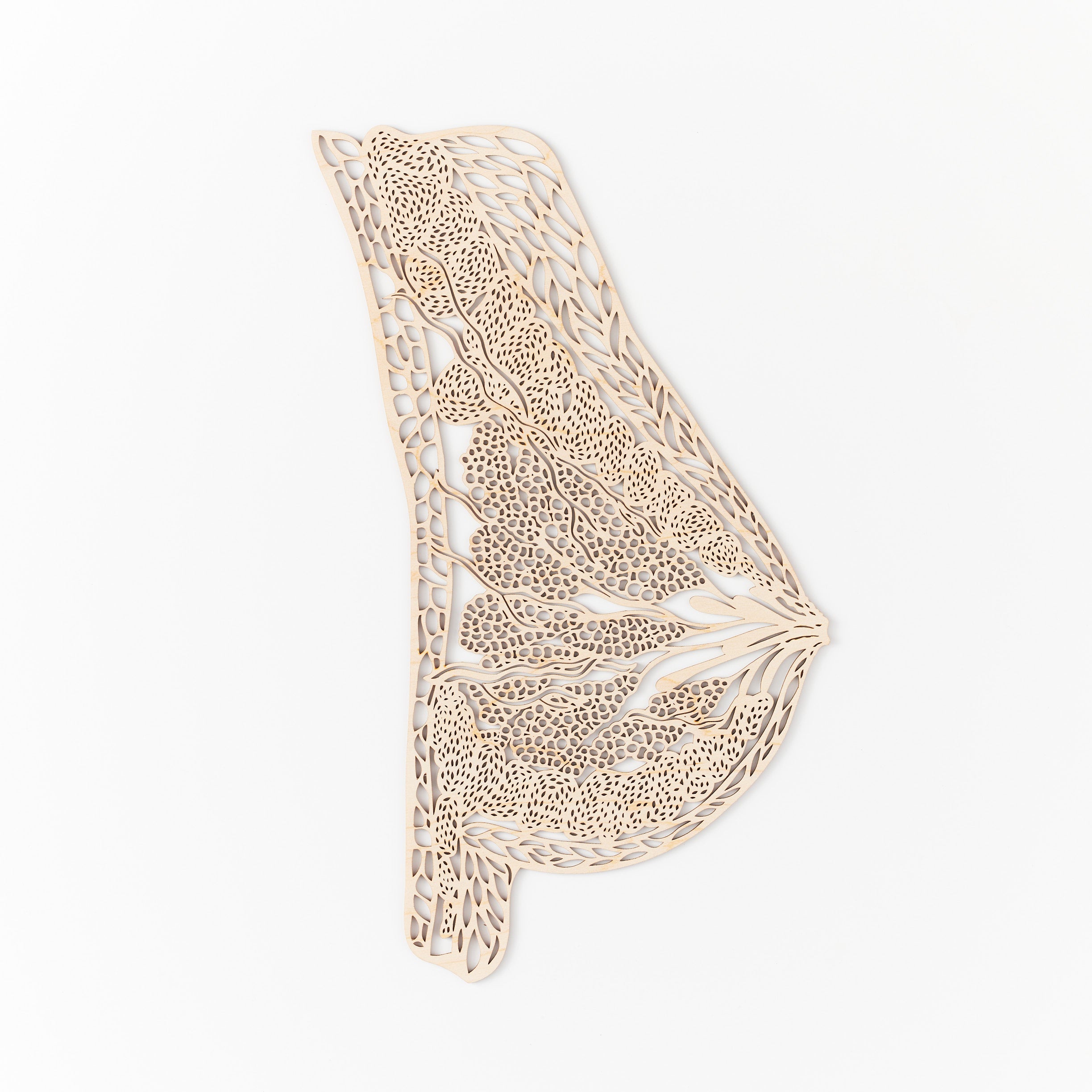 Anatomical Breast Wooden Artwork