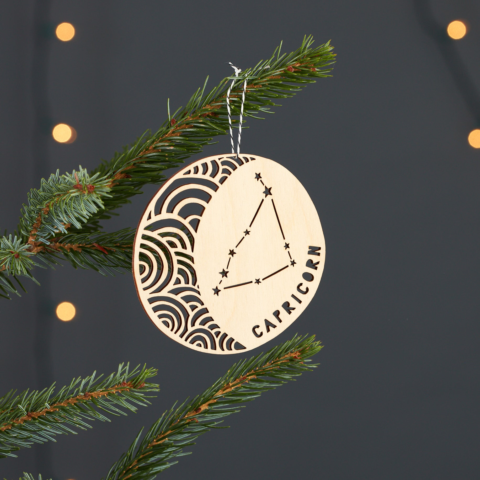 Capricorn Astrology Personalized Ornament
