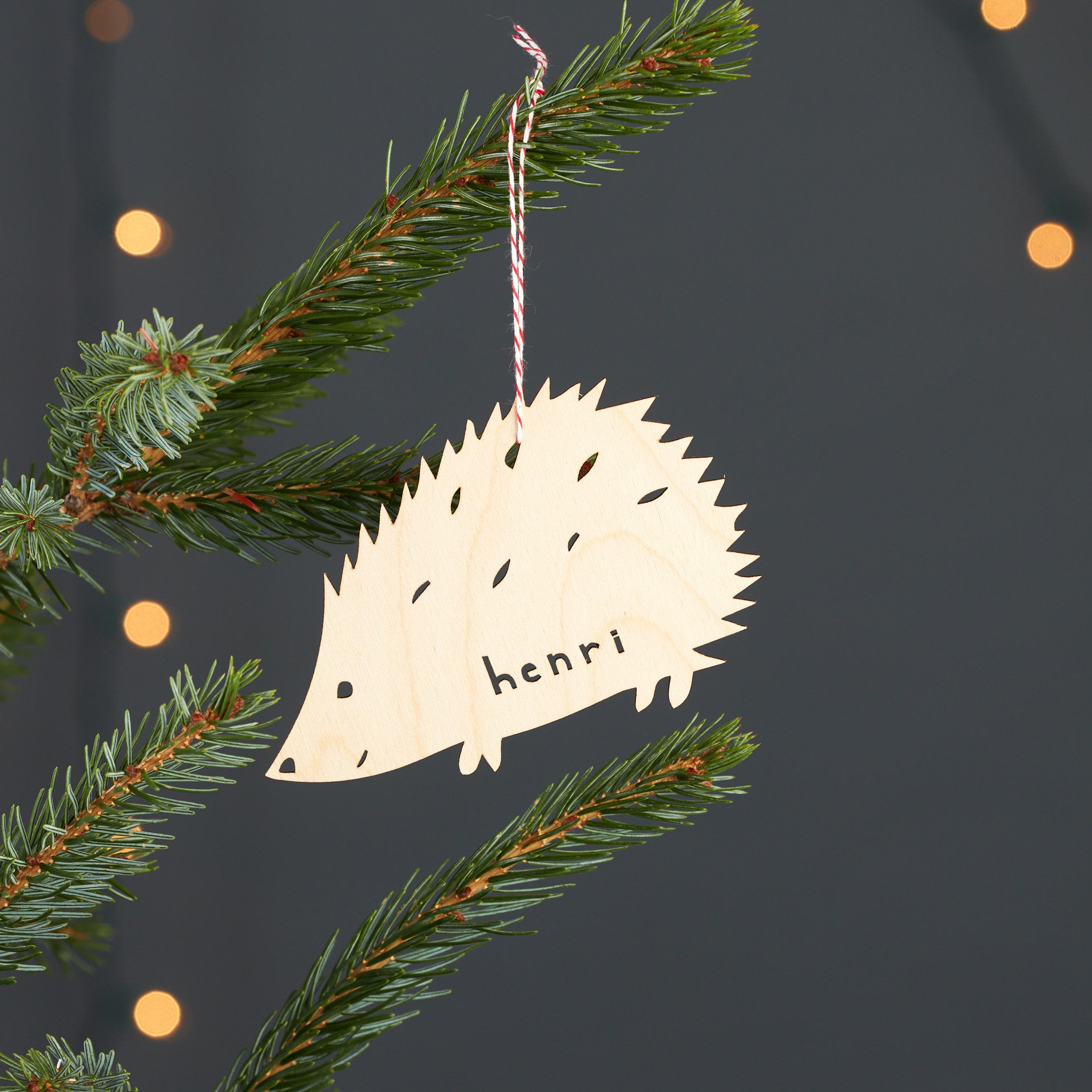 Custom Hedgehog Ornament