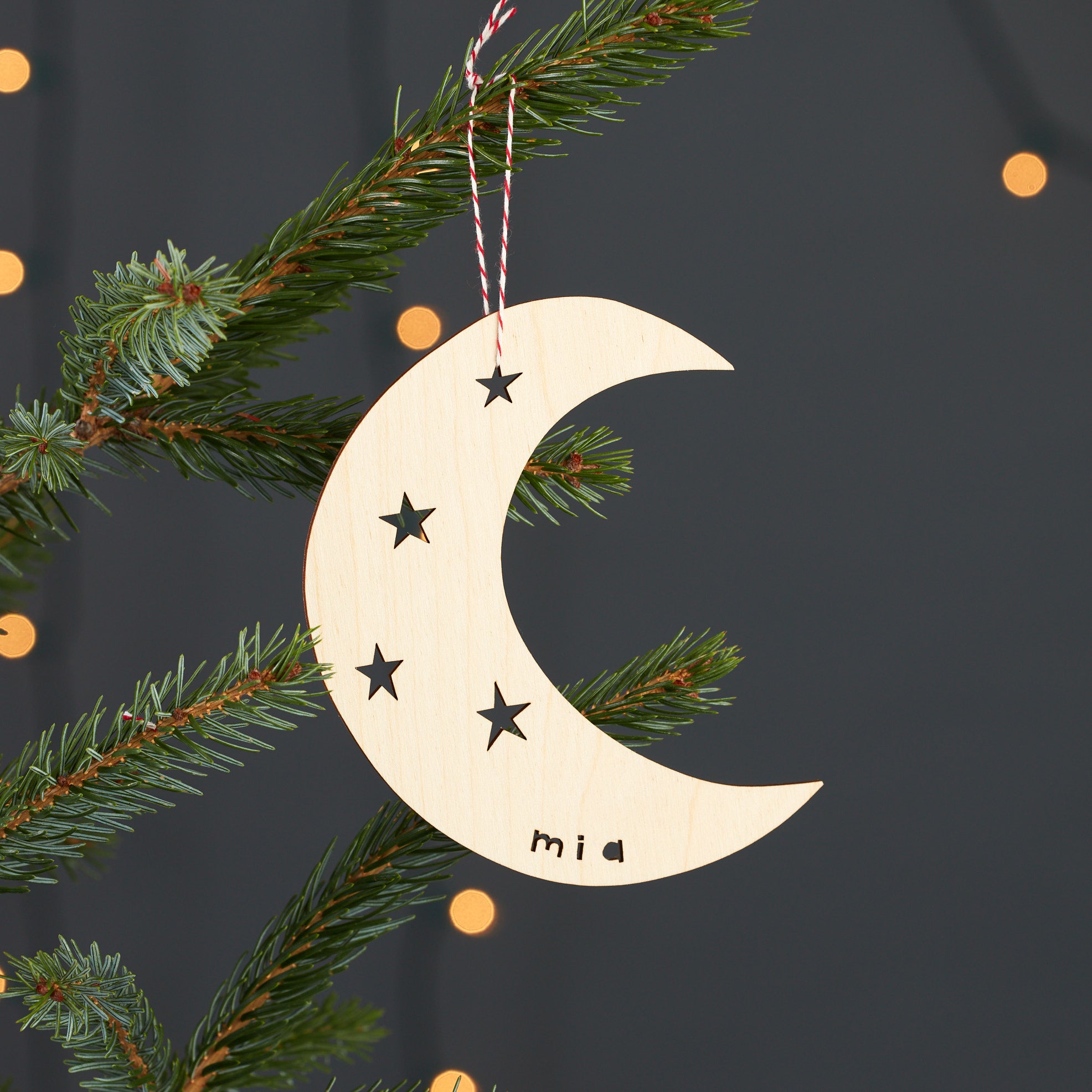 Custom Moon Ornament