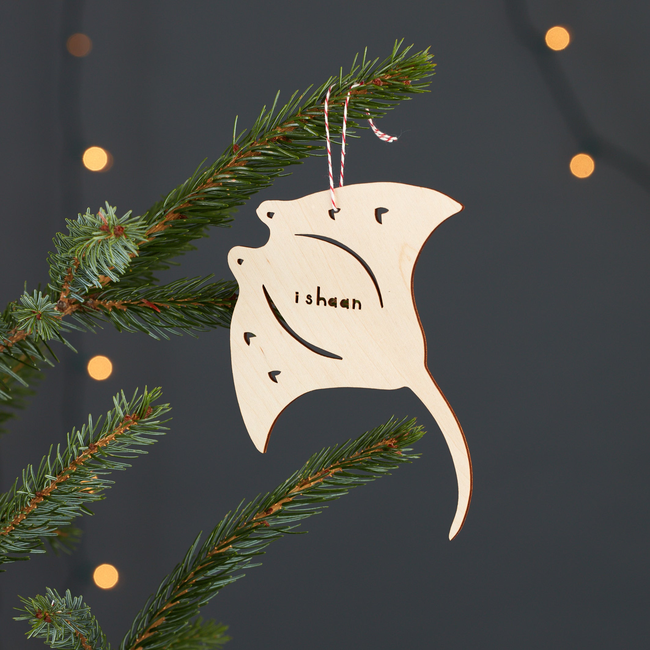 Custom Stingray Ornament