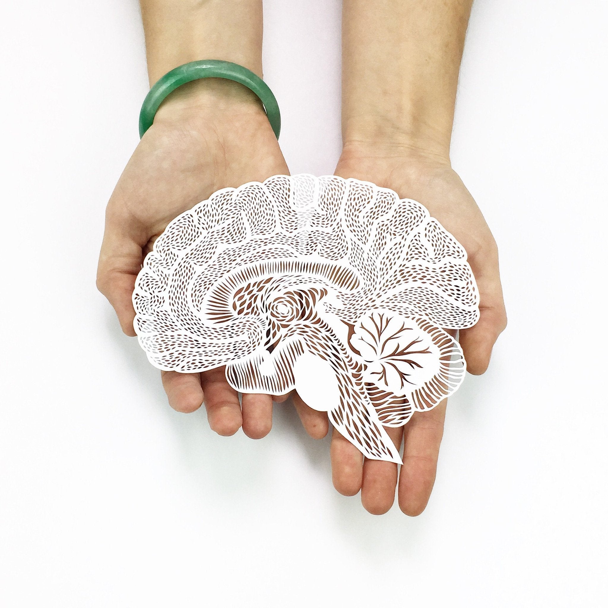 Anatomical Brain Papercutting Artwork