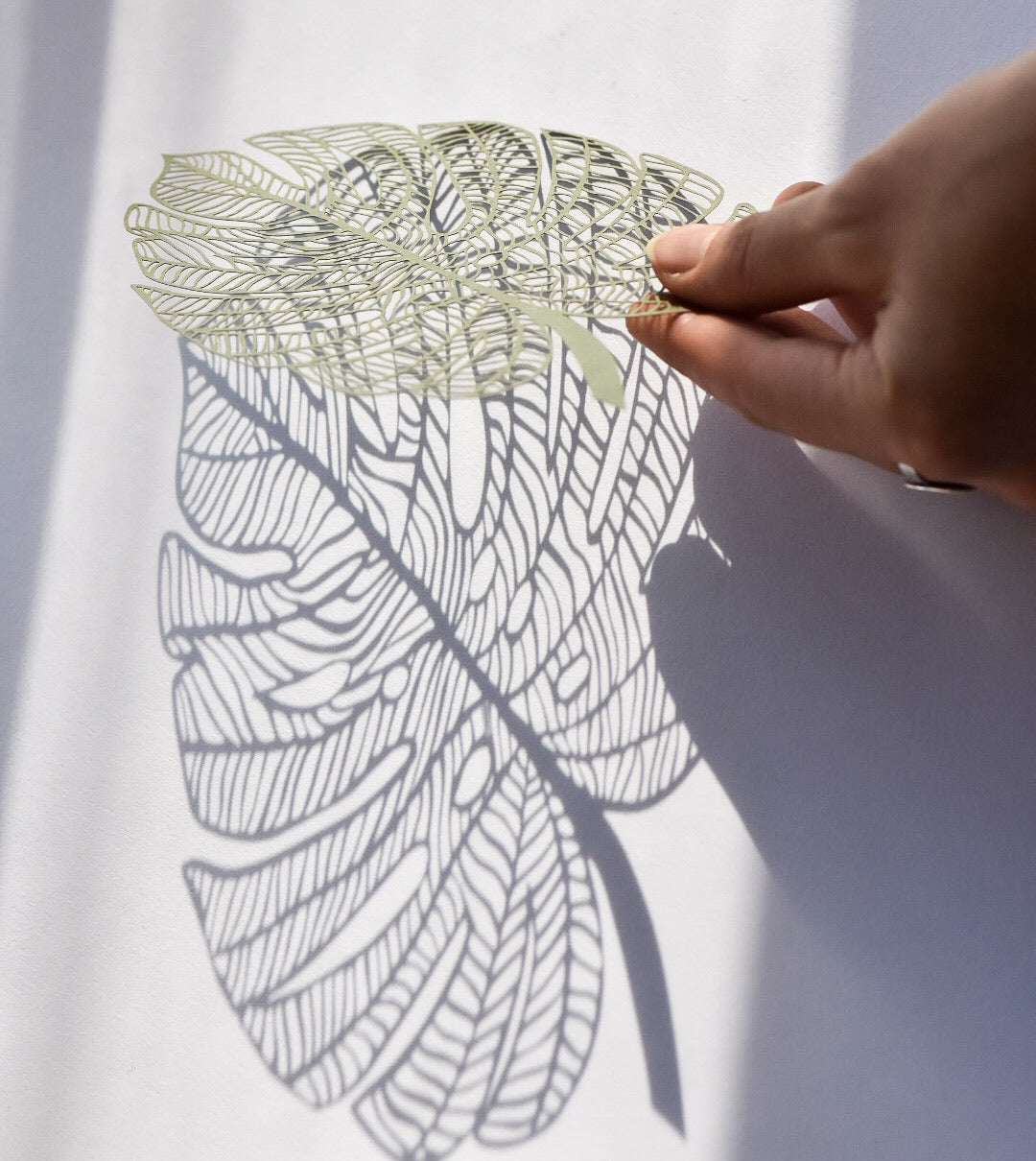 Monstera Leaf Papercutting