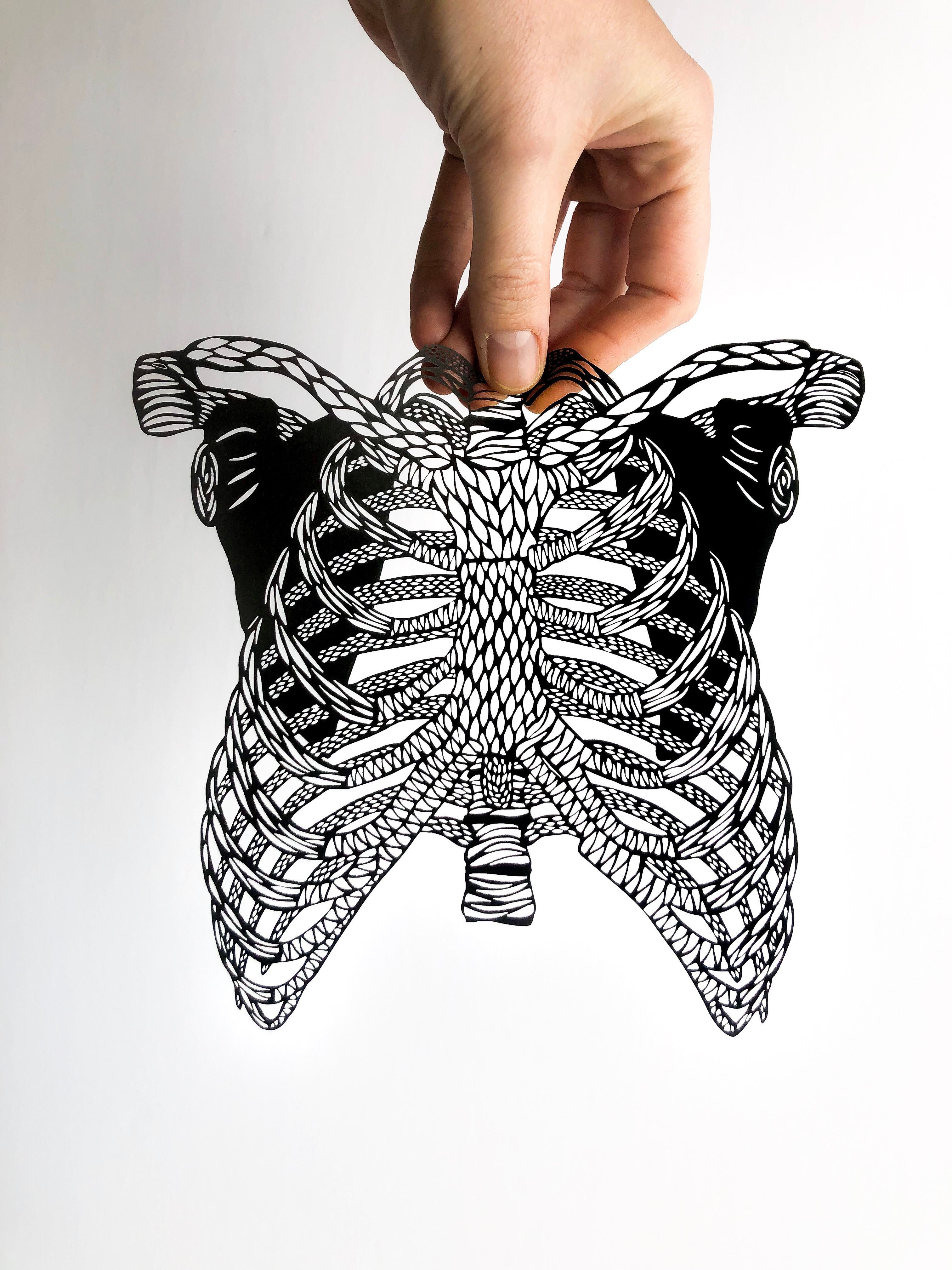 Anatomical Ribcage Papercutting Artwork