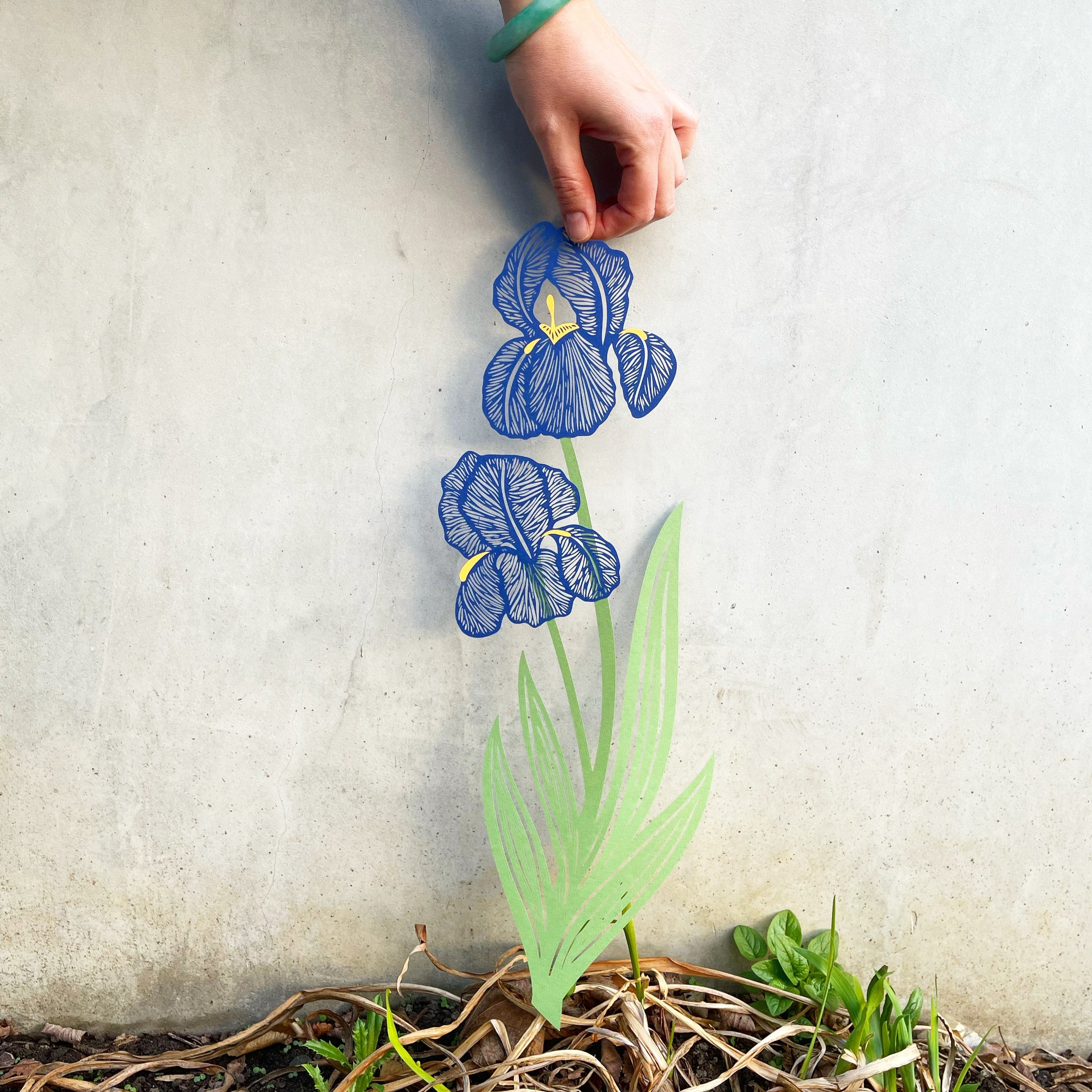 Blue Iris Flower Papercutting