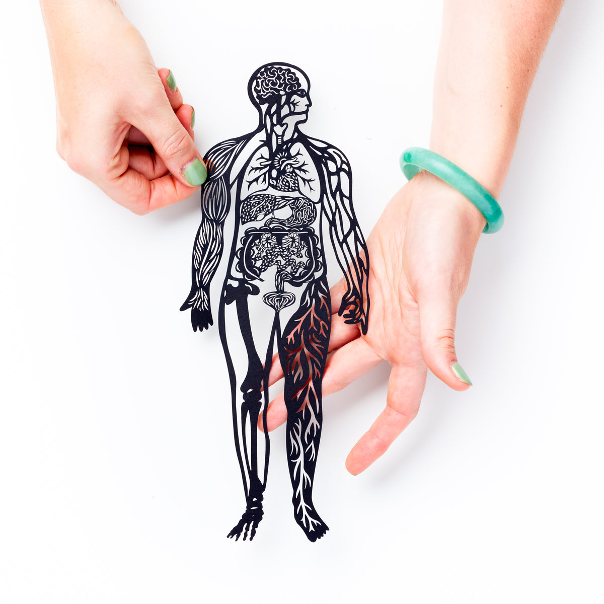 Anatomical Full Body Family Medicine Papercutting Artwork | Light + Paper
